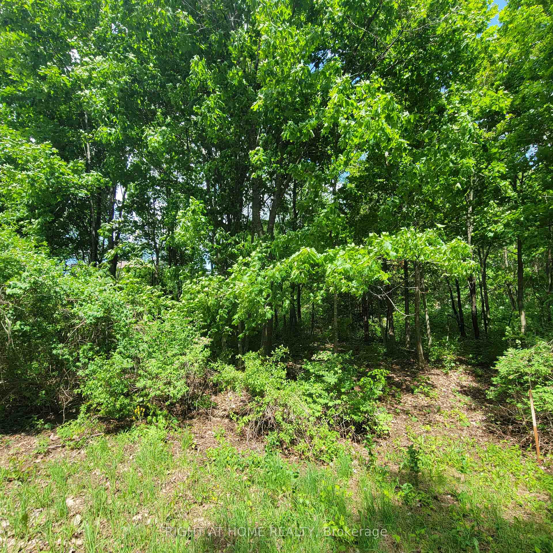 Photo 9 of 7 Beckenham Lane, Ottawa, Rothwell Heights — HOMEH
