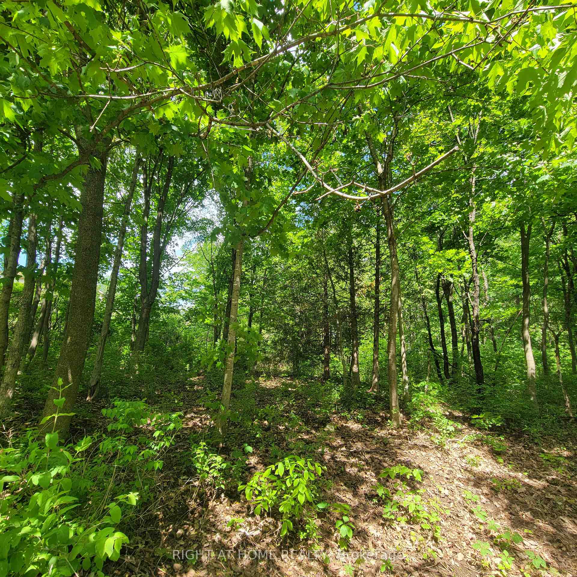Photo 10 of 7 Beckenham Lane, Ottawa, Rothwell Heights — HOMEH