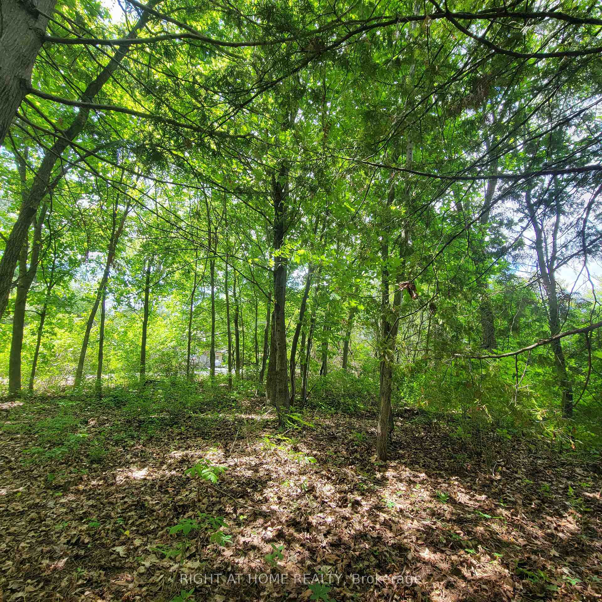 Photo 11 of 7 Beckenham Lane, Ottawa, Rothwell Heights — HOMEH