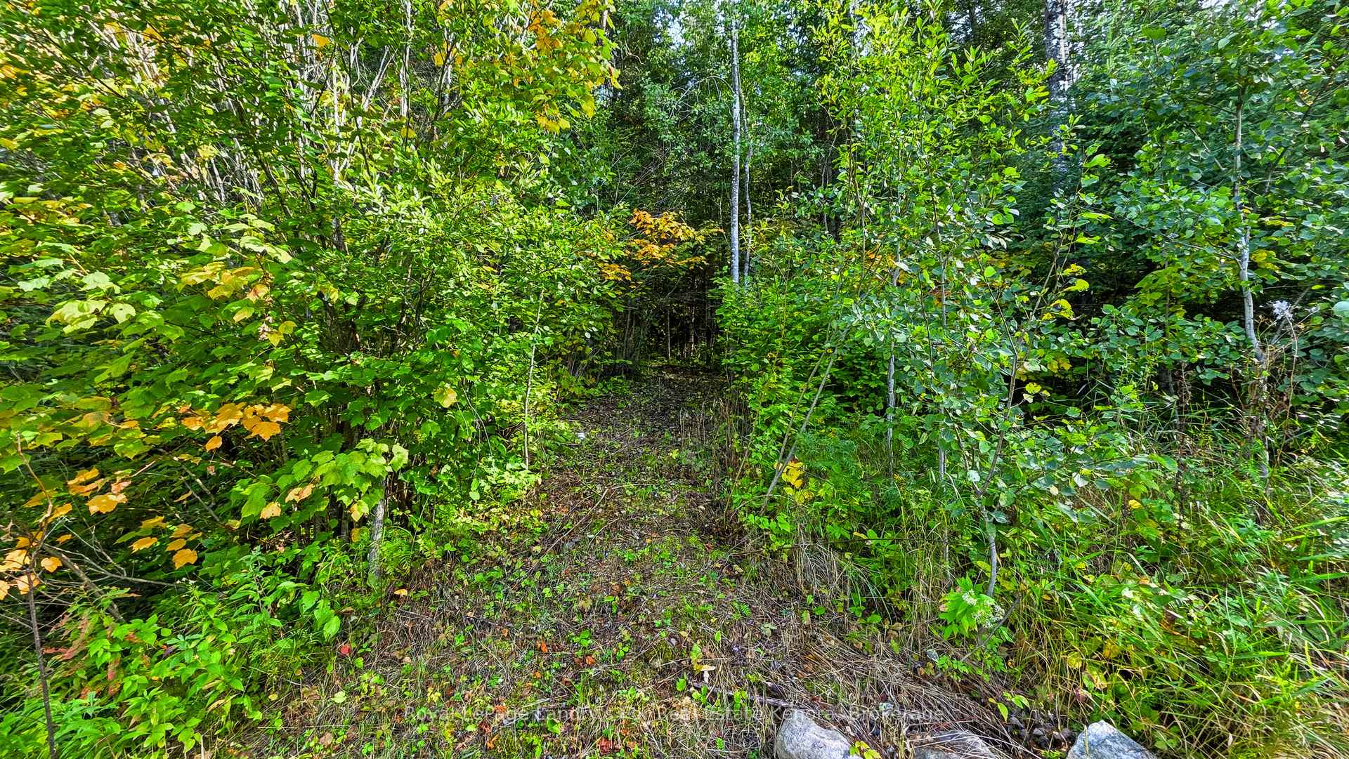 Photo 21 of 475 Essex Road, Kenora, Kenora Northeast — HOMEH