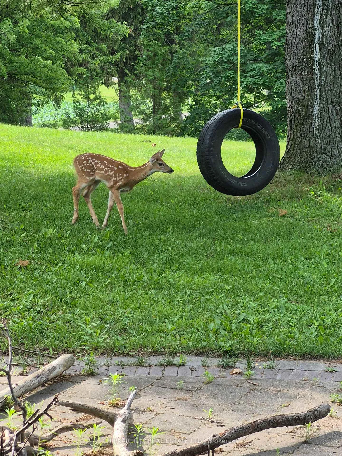 Photo 44 of 516 Governor's Road E, Brant, Paris — HOMEH