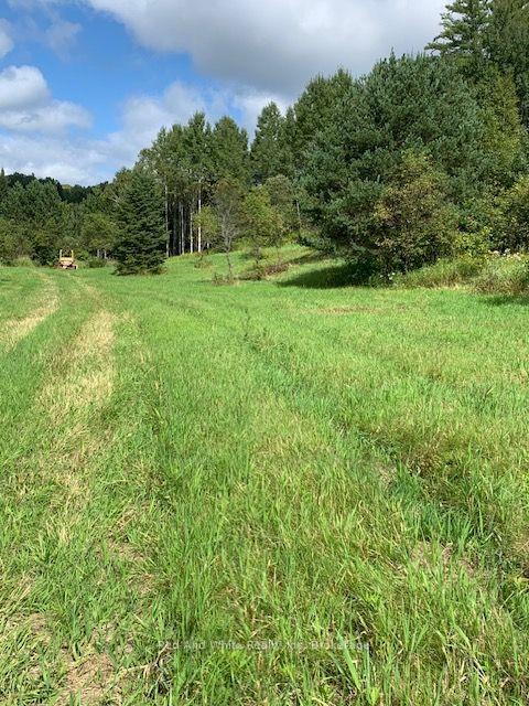 Photo 2 of Three Mile Lake Road, Armour — HOMEH