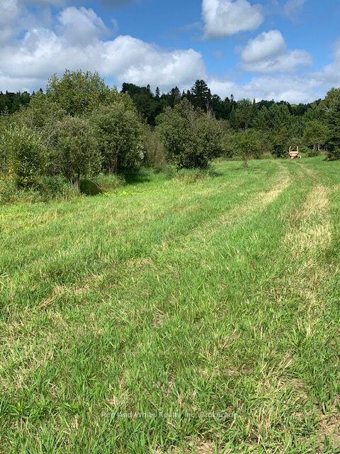 Photo 4 of Three Mile Lake Road, Armour — HOMEH