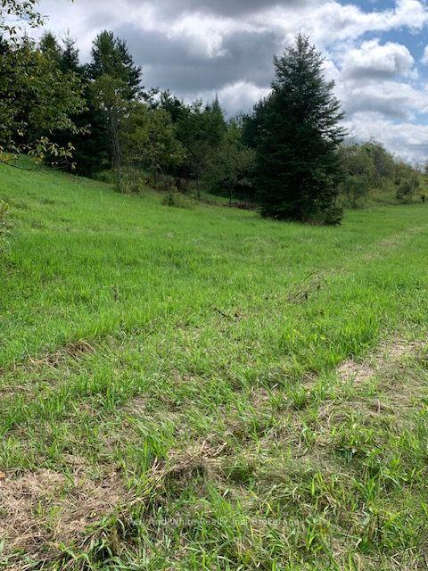 Photo 6 of Three Mile Lake Road, Armour — HOMEH