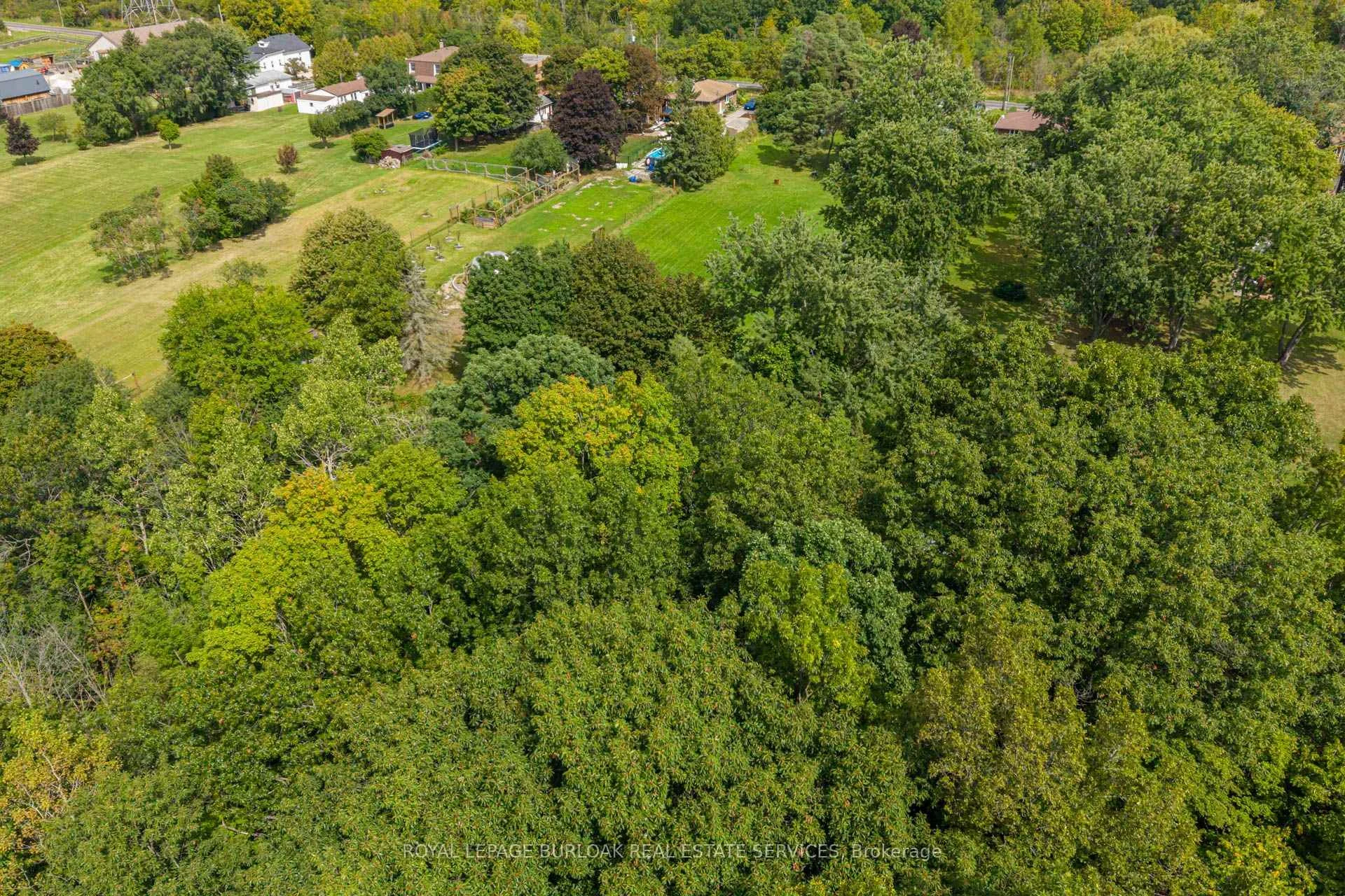 Photo 11 of 1412 Old York Road, Burlington, Grindstone — HOMEH
