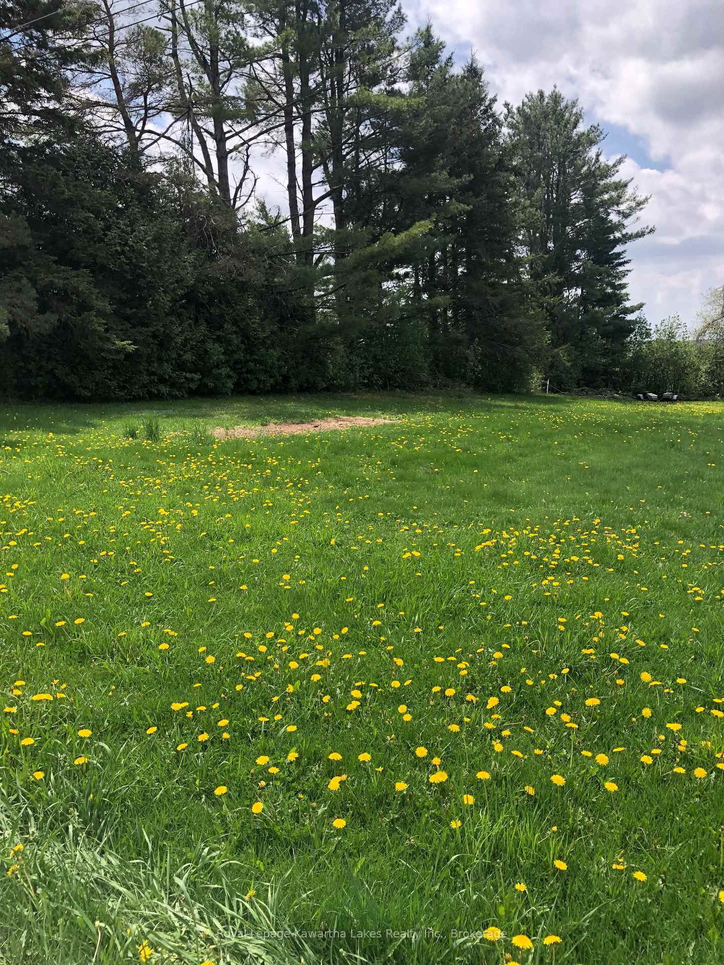 Photo 3 of 8 Fulsom Crescent, Kawartha Lakes, Carden — HOMEH