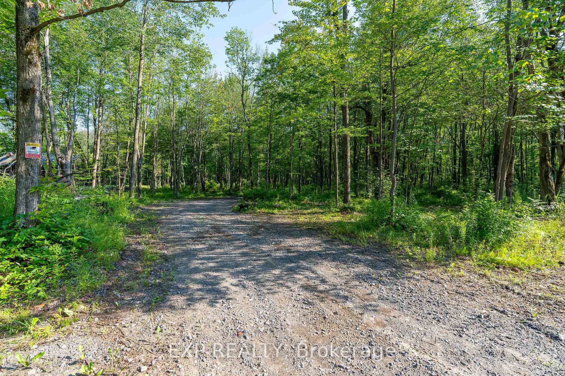 Photo of Lot 20 Concession 4 Road