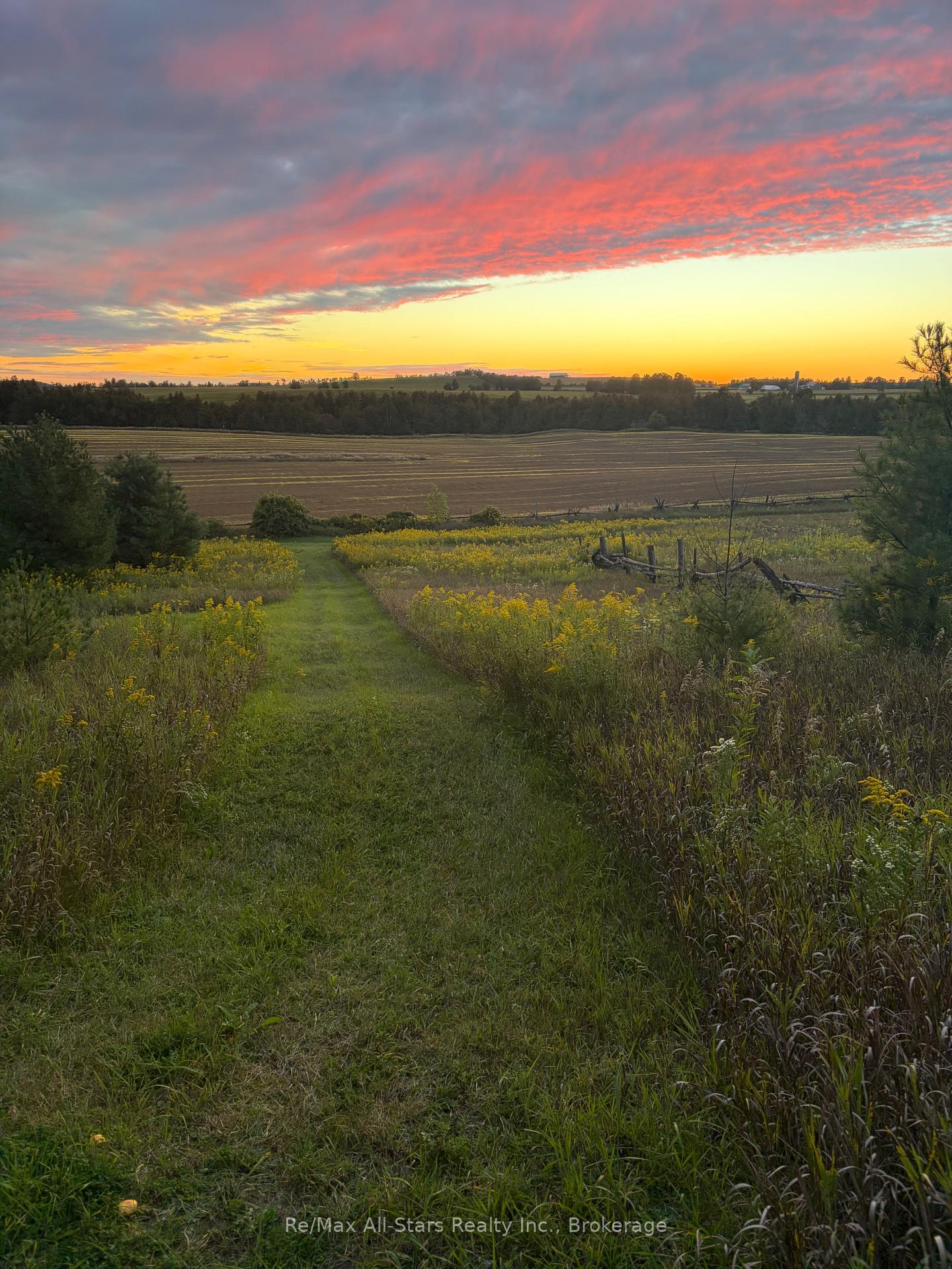 Photo 49 of 829 Peace Road, Kawartha Lakes, Emily — HOMEH