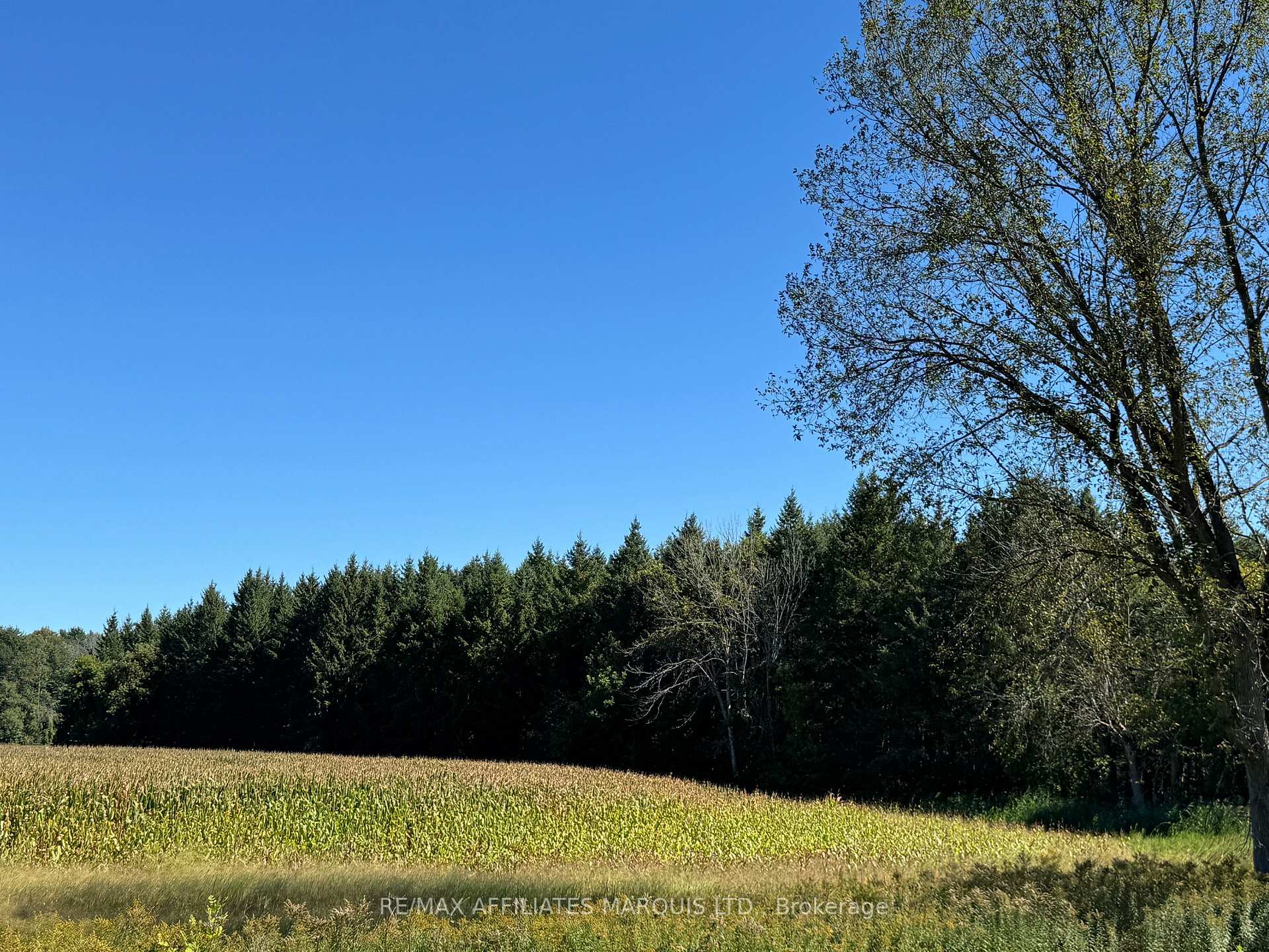 Photo 1 of Carman Road, South Dundas, South Dundas (Matilda) Twp — HOMEH