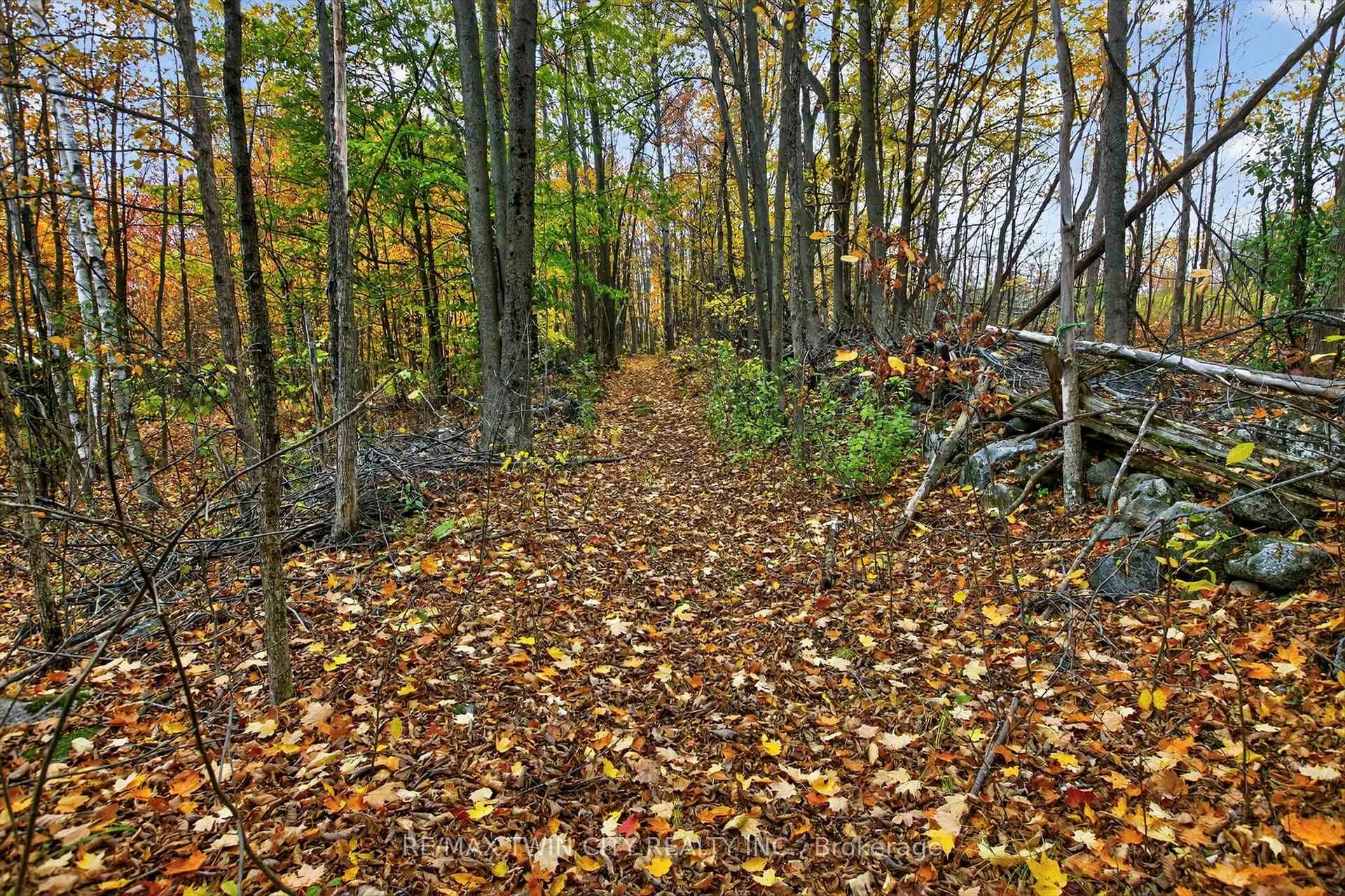 Photo 83 of 152B Wannamaker Road, Centre Hastings — HOMEH