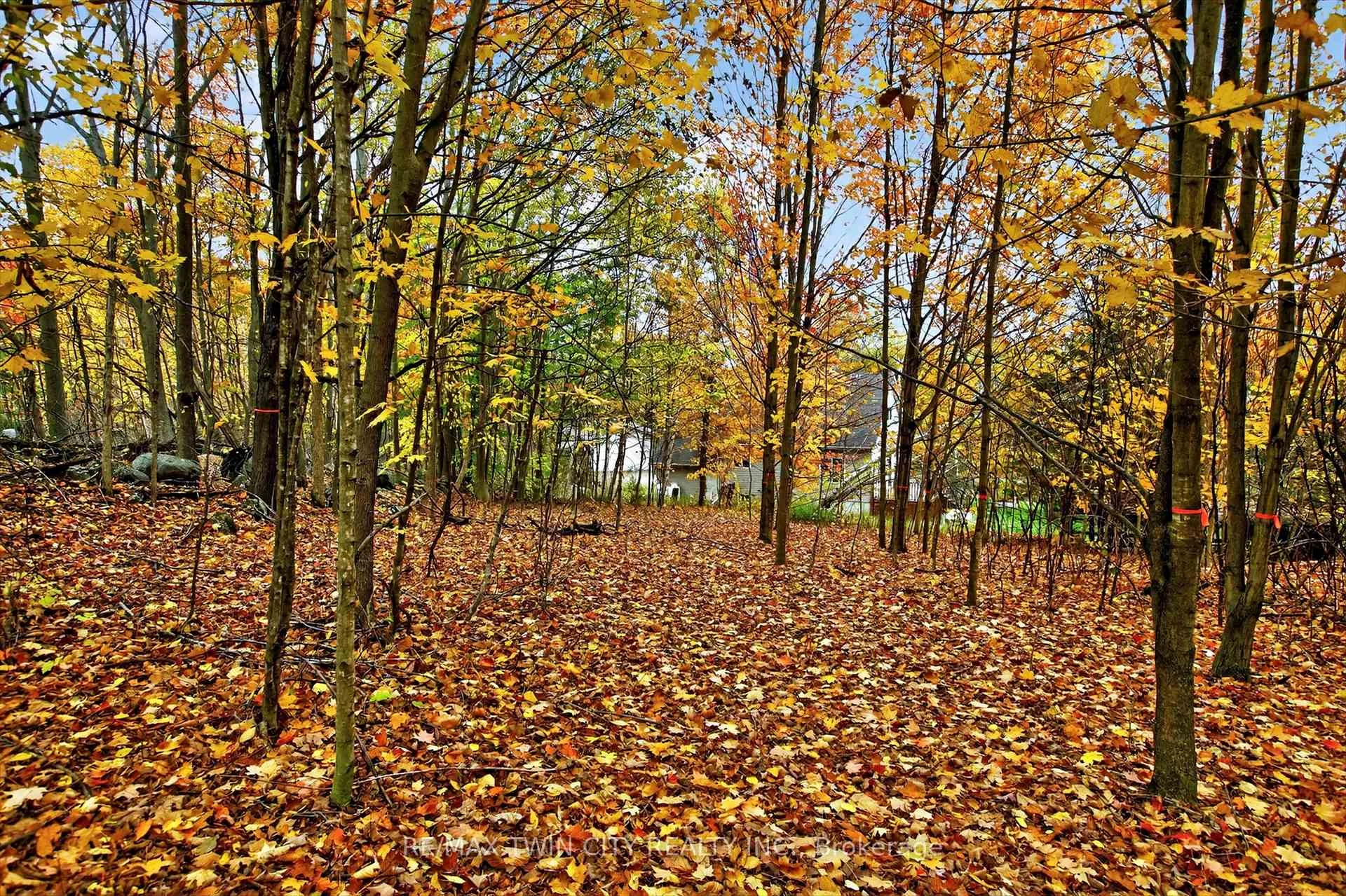 Photo 84 of 152B Wannamaker Road, Centre Hastings — HOMEH
