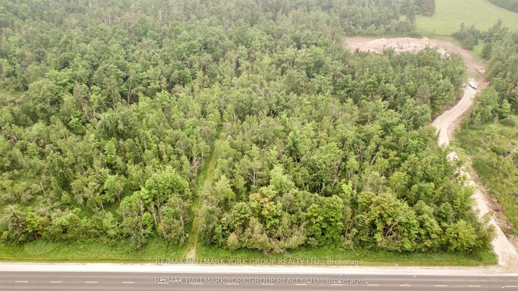 Photo 2 of Pt LT 80 Grey Rd 124 Grey Road, Grey Highlands — HOMEH