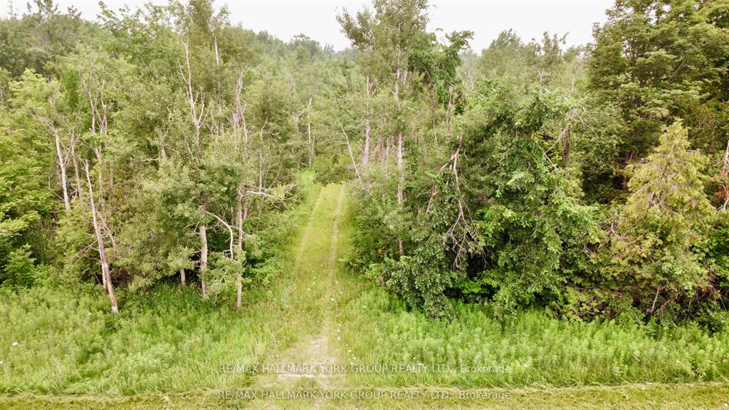 Photo 4 of Pt LT 80 Grey Rd 124 Grey Road, Grey Highlands — HOMEH