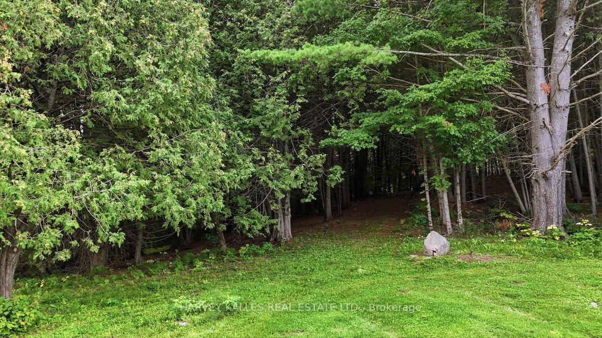 Photo 47 of 2755 Rapids Road, Tweed, Hungerford (Twp) — HOMEH