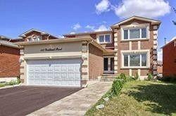 Photo of Unit Bsmt, 117 Yorkland Street