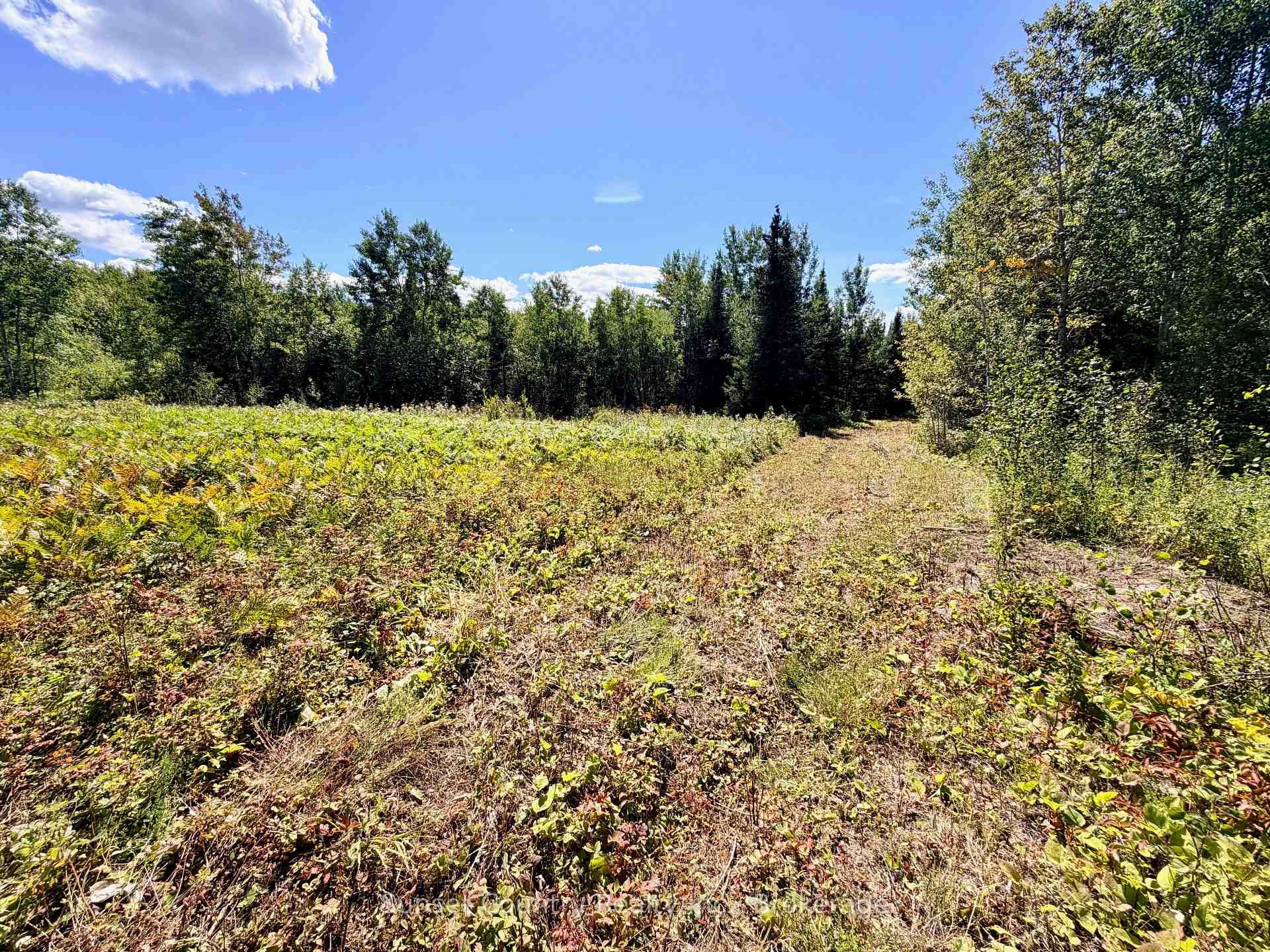 Photo 3 of Wall Street W, Kenora Remote Area, Oxdrift — HOMEH