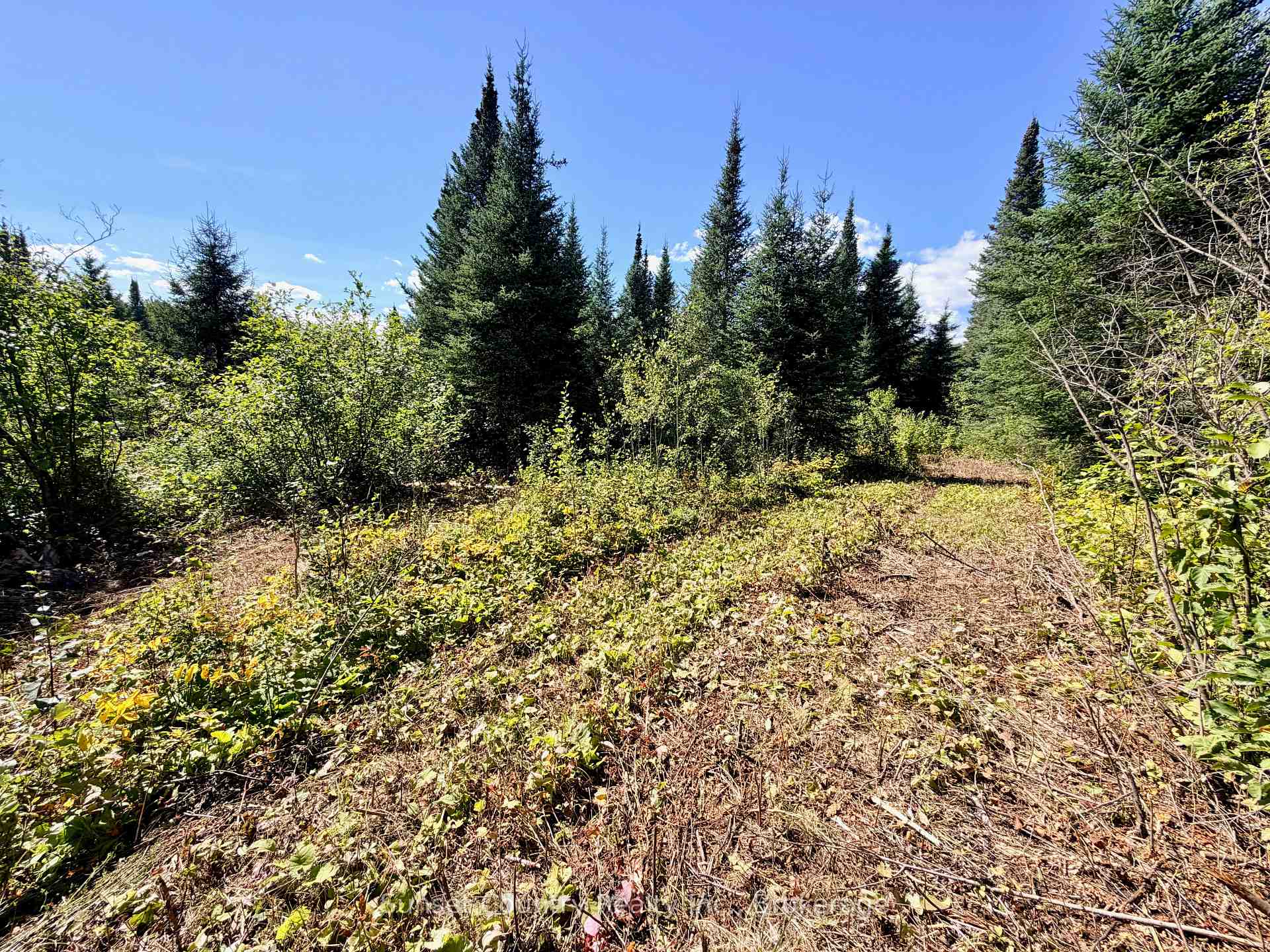 Photo 4 of Wall Street W, Kenora Remote Area, Oxdrift — HOMEH