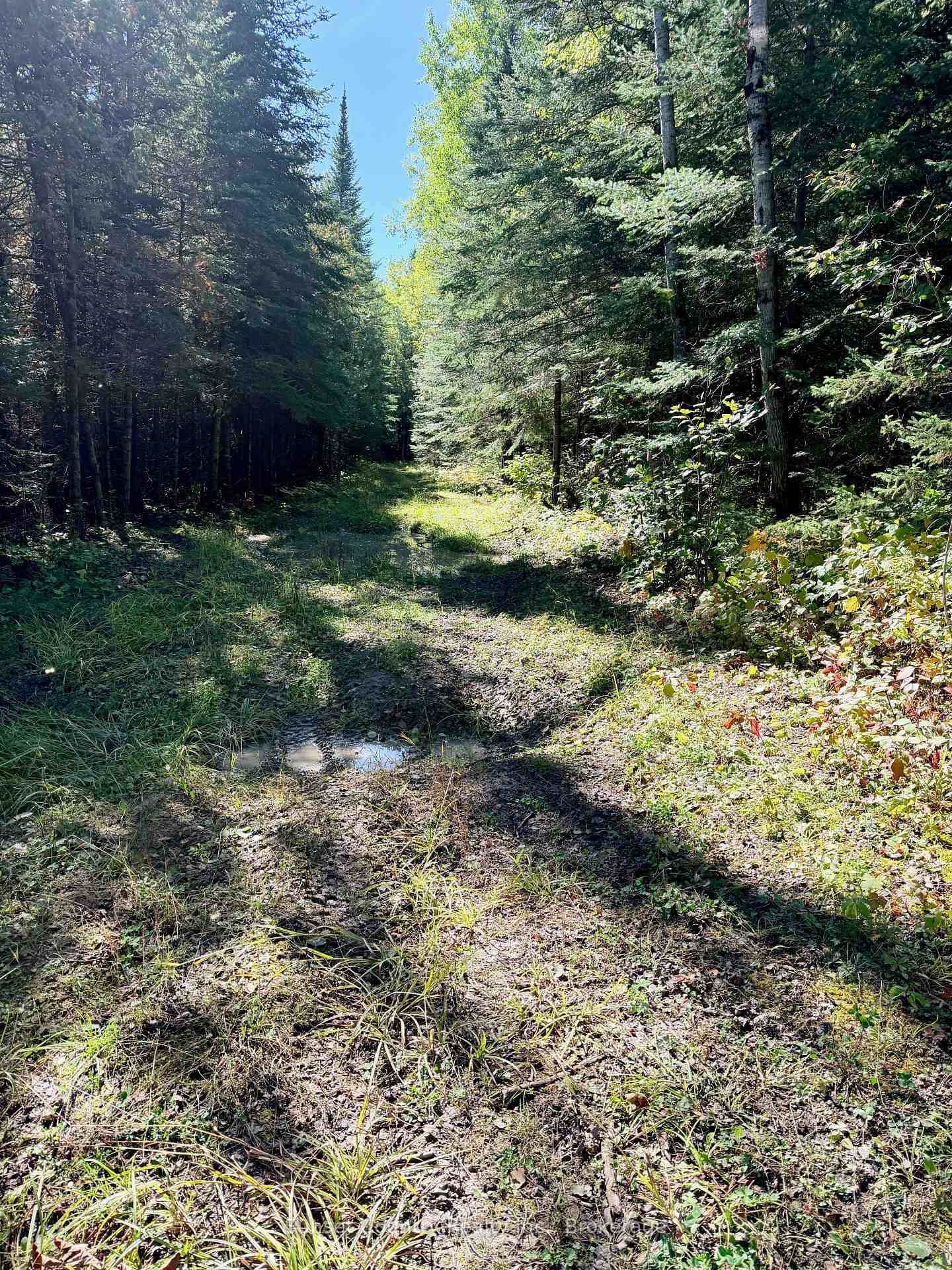 Photo 18 of Wall Street W, Kenora Remote Area, Oxdrift — HOMEH