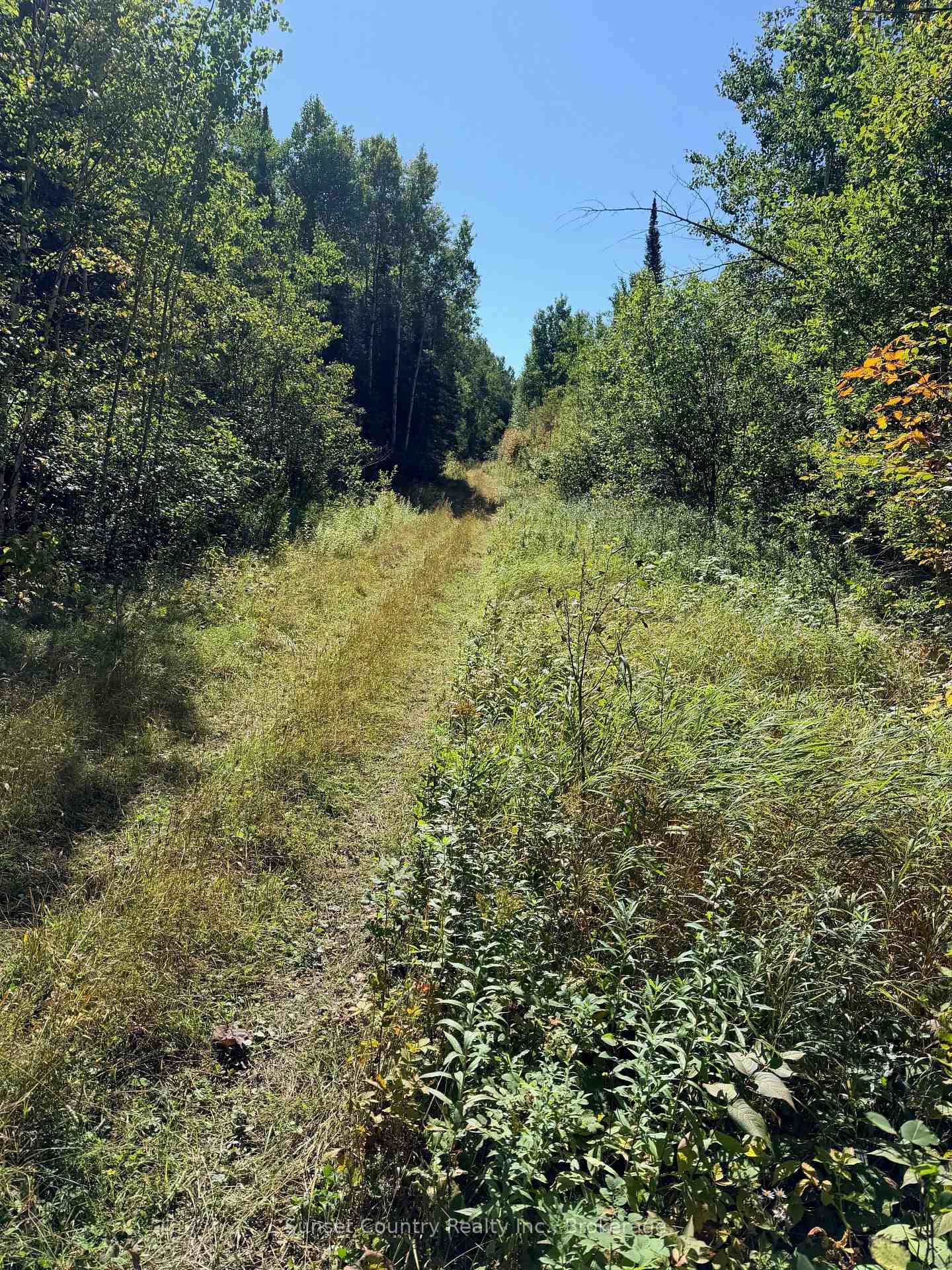 Photo 20 of Wall Street W, Kenora Remote Area, Oxdrift — HOMEH