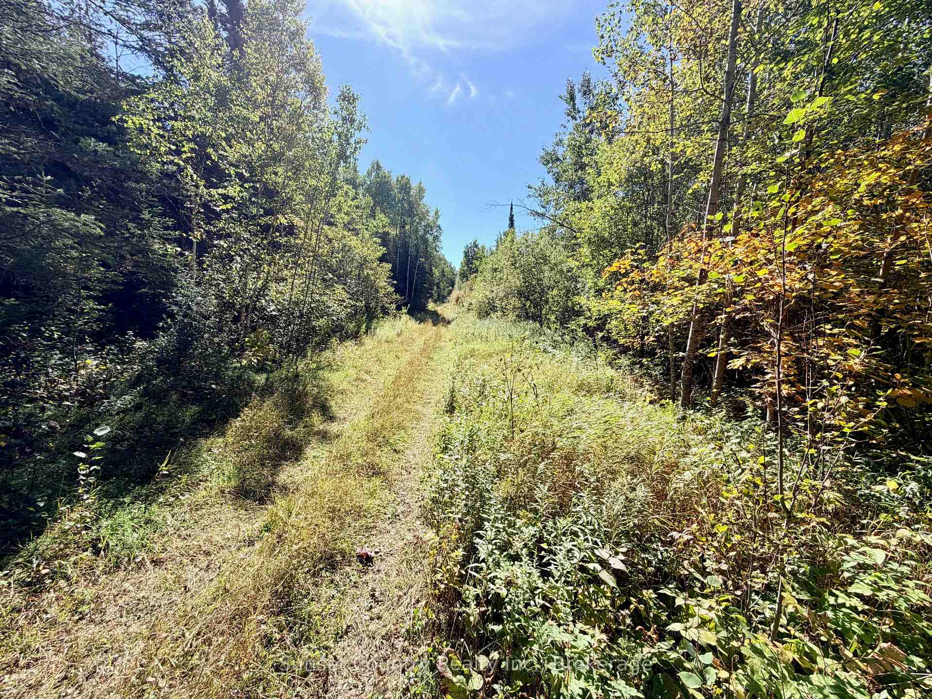 Photo 22 of Wall Street W, Kenora Remote Area, Oxdrift — HOMEH