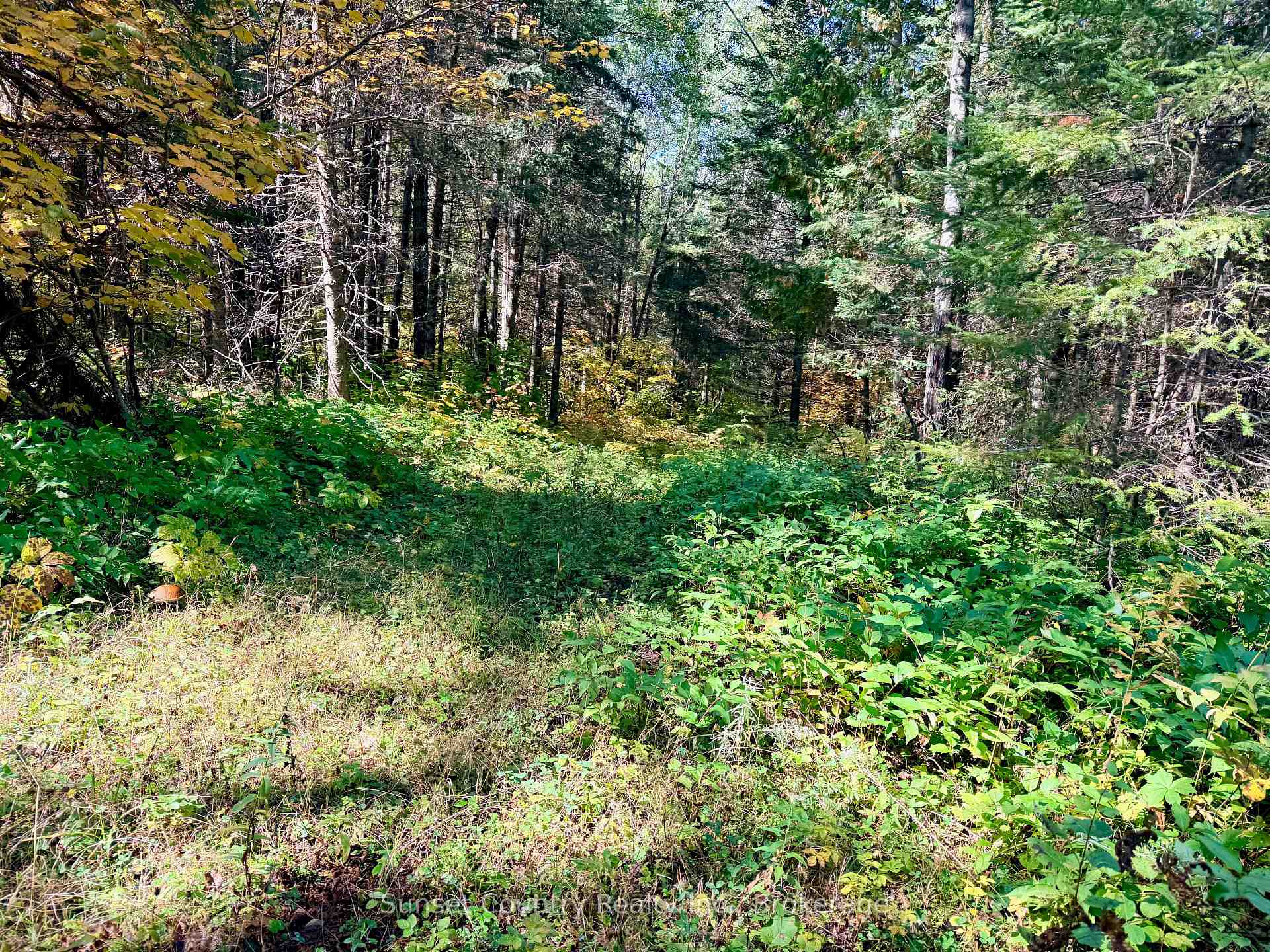 Photo 24 of Wall Street W, Kenora Remote Area, Oxdrift — HOMEH