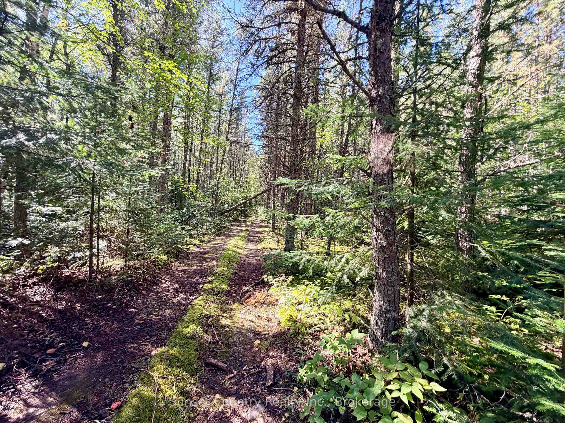 Photo 27 of Wall Street W, Kenora Remote Area, Oxdrift — HOMEH