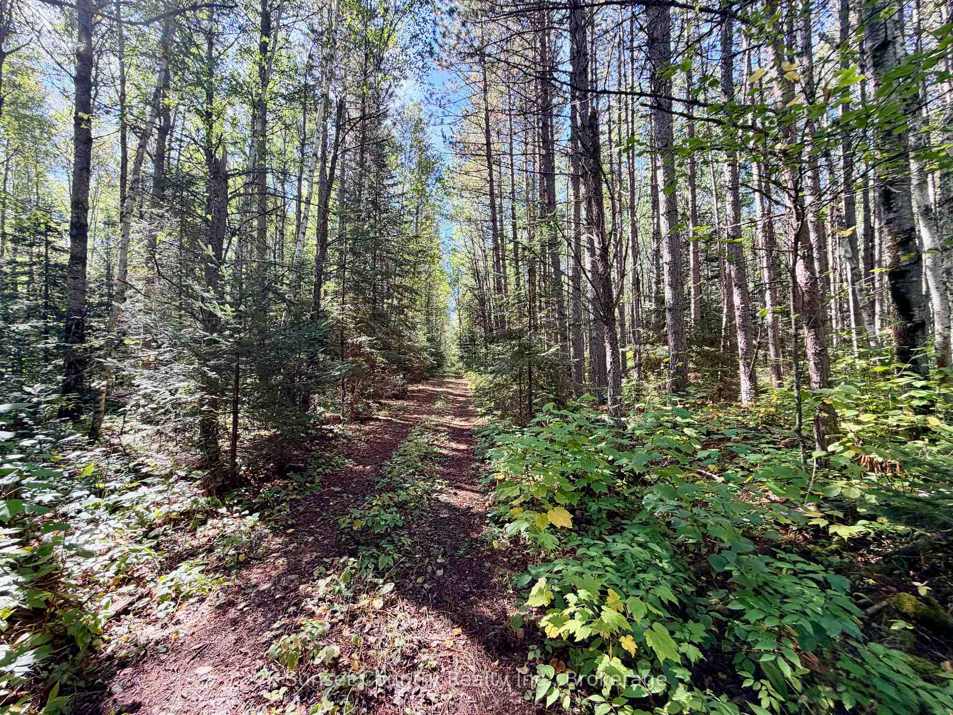 Photo 28 of Wall Street W, Kenora Remote Area, Oxdrift — HOMEH