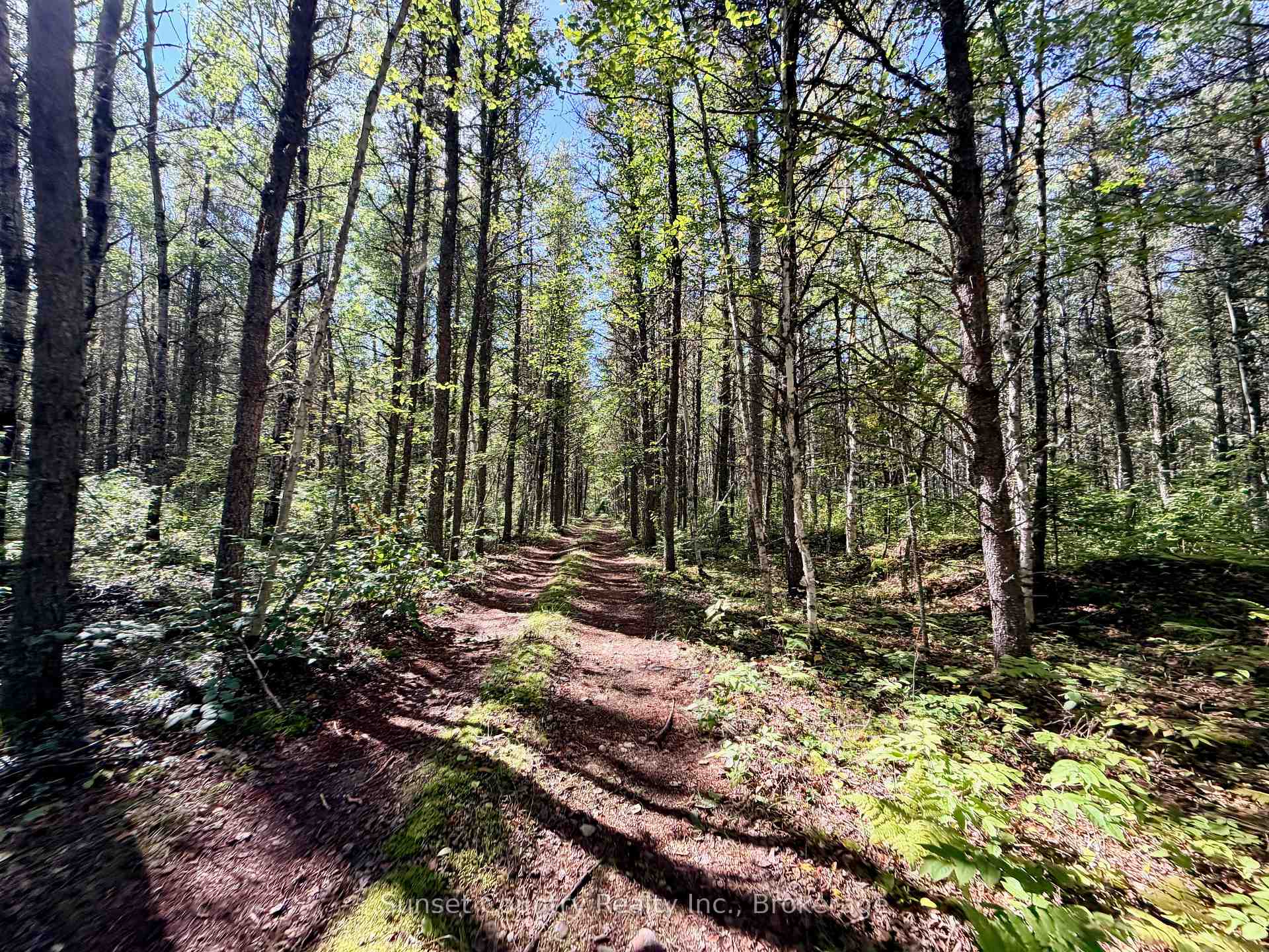 Photo 29 of Wall Street W, Kenora Remote Area, Oxdrift — HOMEH