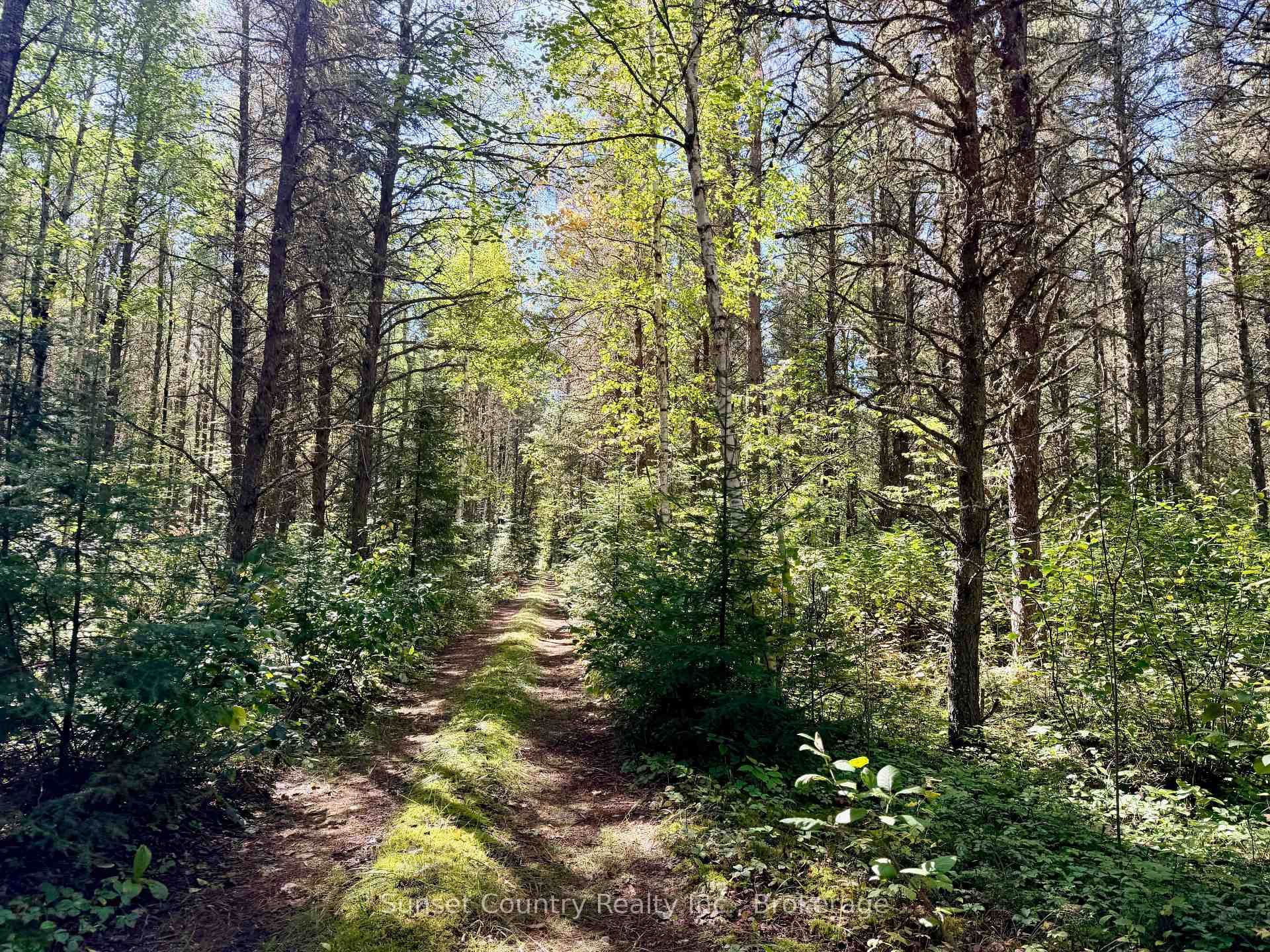 Photo 30 of Wall Street W, Kenora Remote Area, Oxdrift — HOMEH
