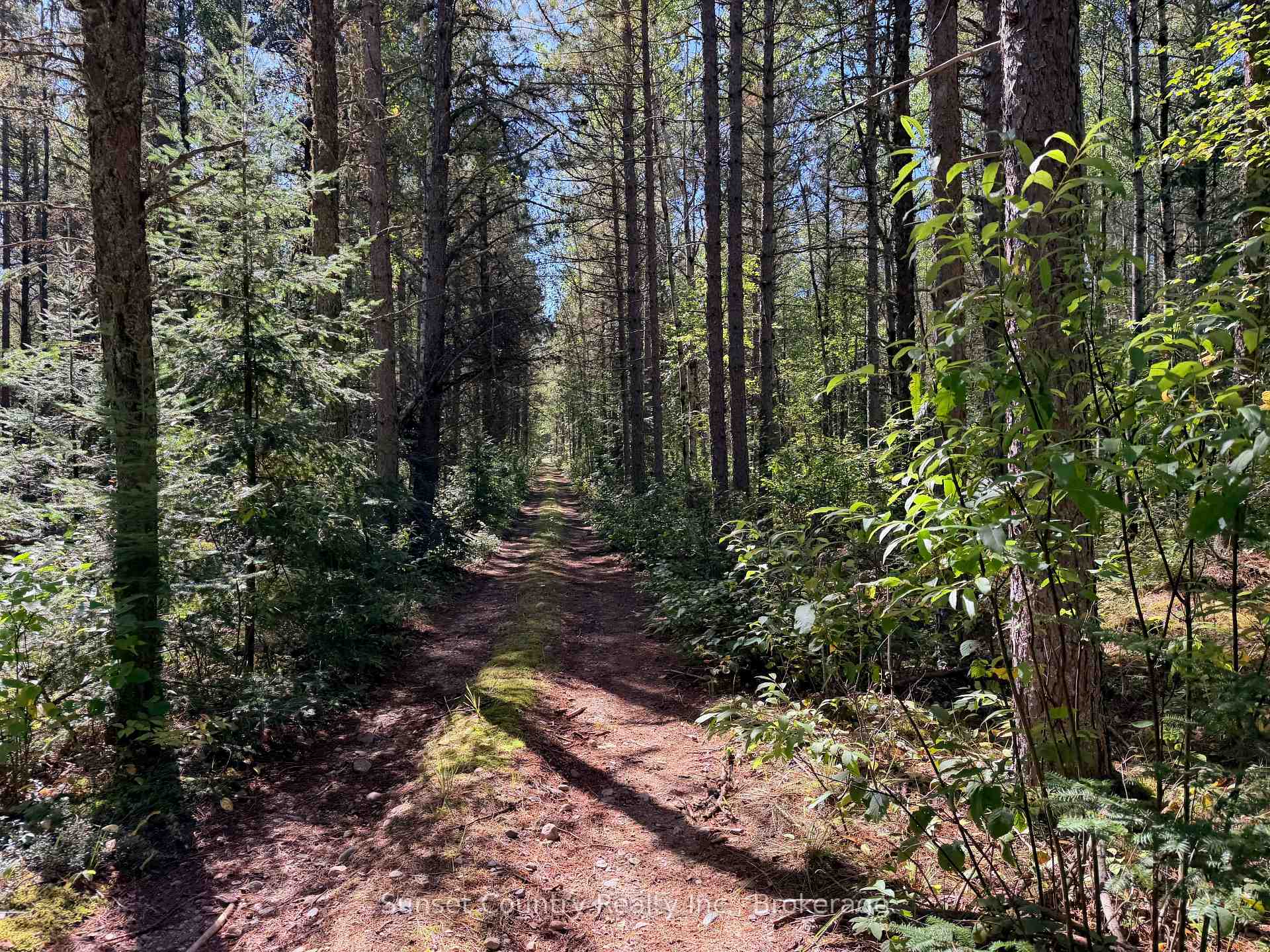Photo 31 of Wall Street W, Kenora Remote Area, Oxdrift — HOMEH