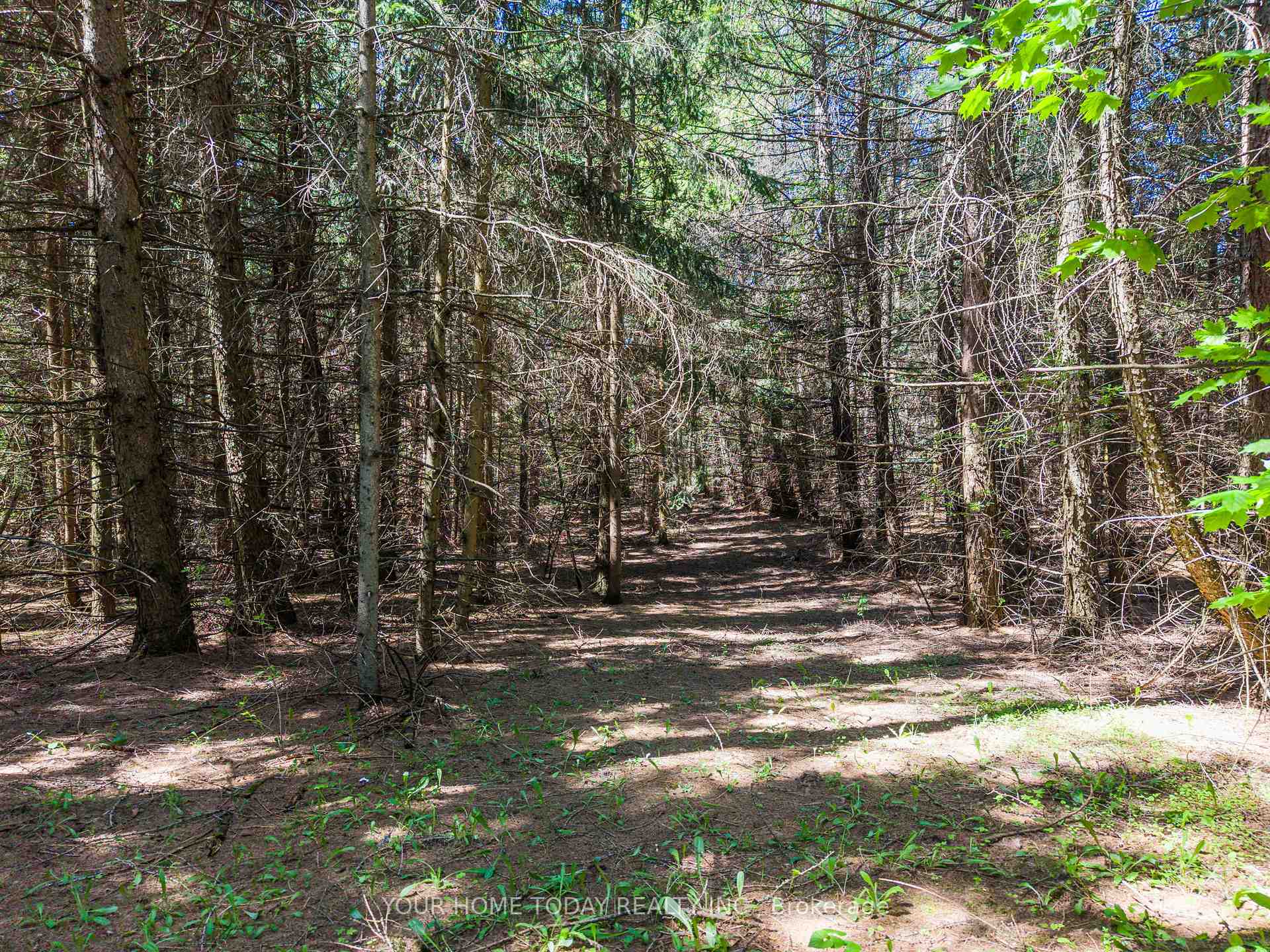 Photo 39 of 5214 Tenth Line, Erin, Rural Erin — HOMEH