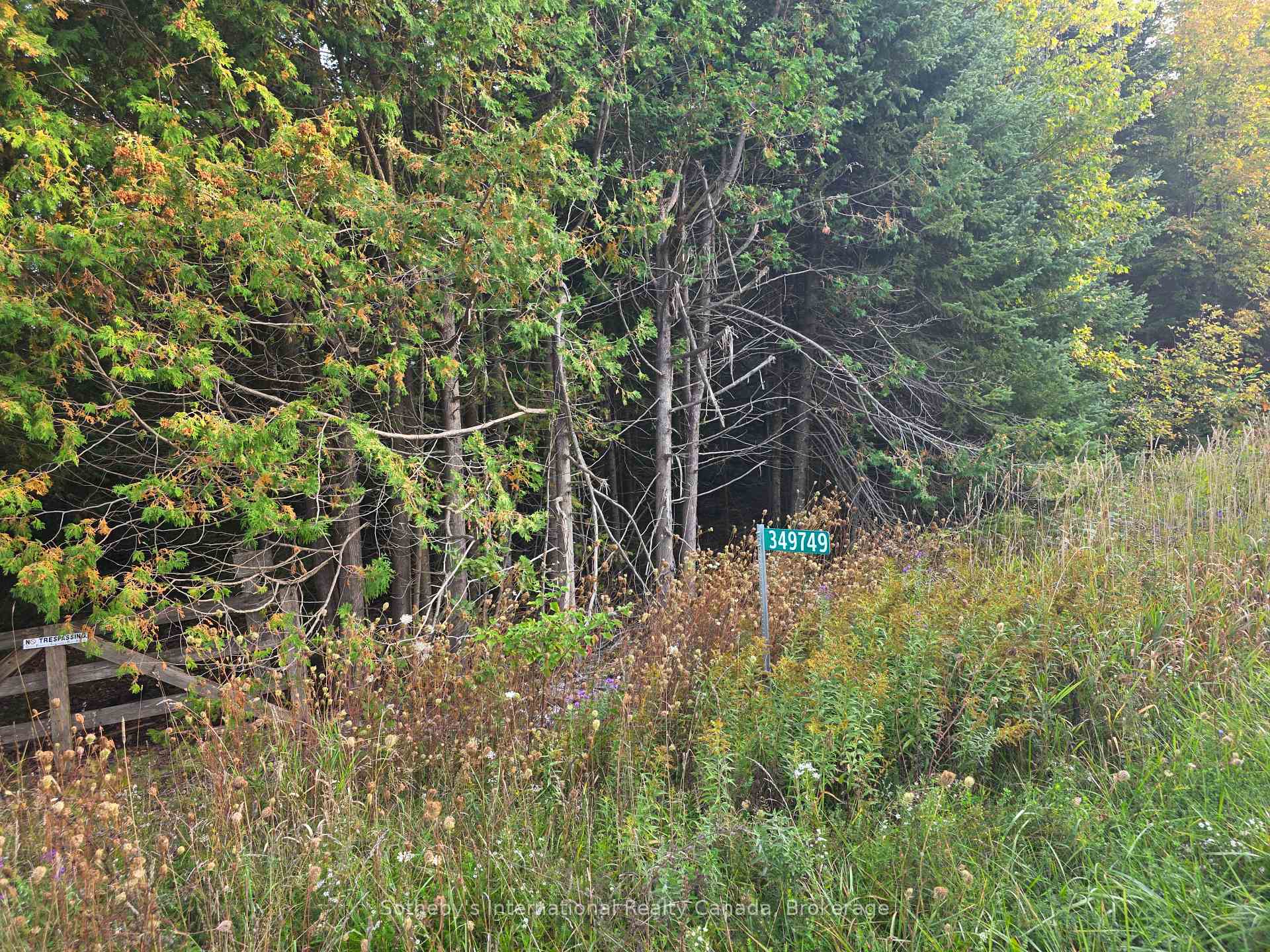 Photo 4 of 349749 4th Concession B, Grey Highlands — HOMEH