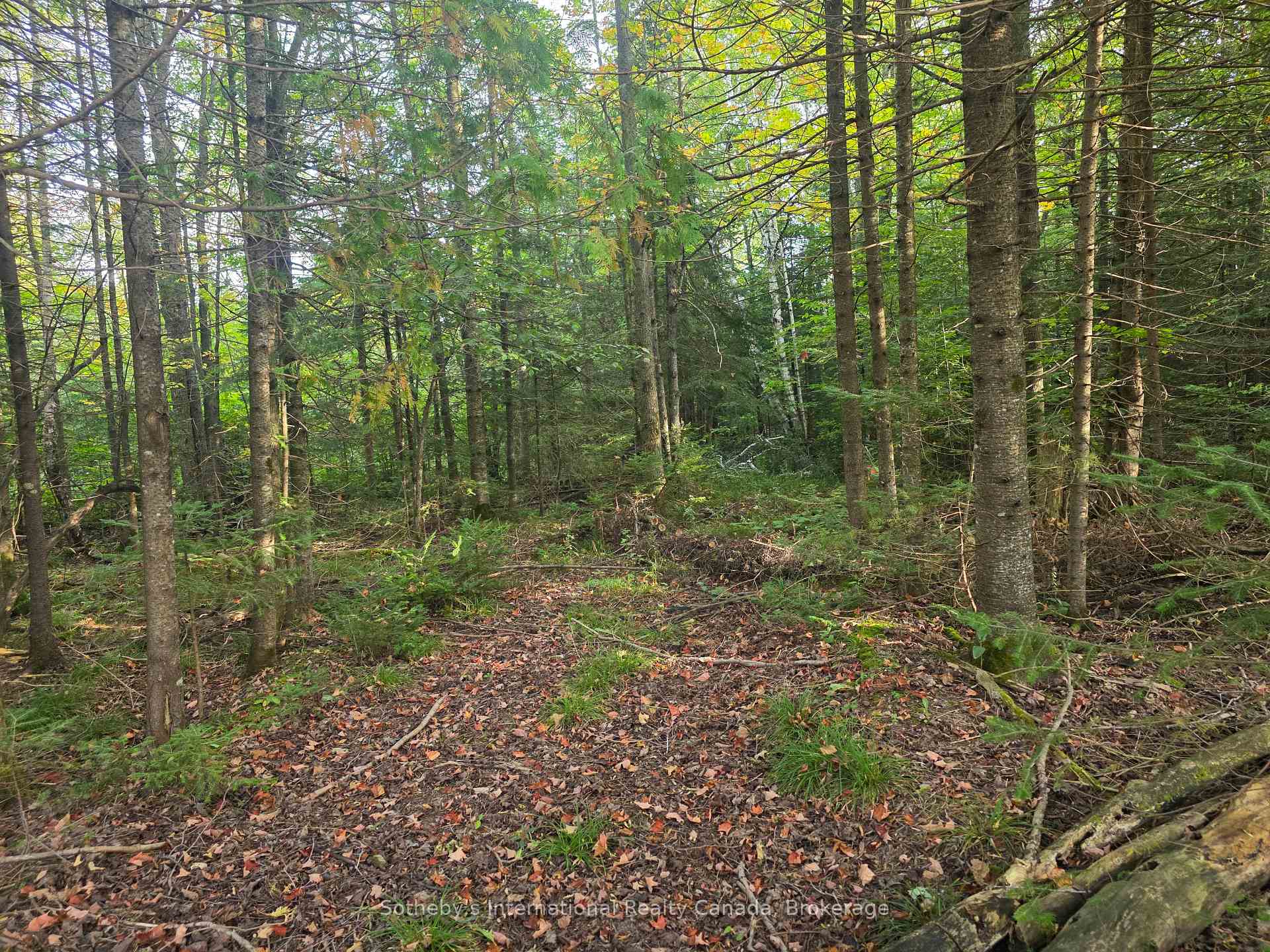 Photo 5 of 349749 4th Concession B, Grey Highlands — HOMEH