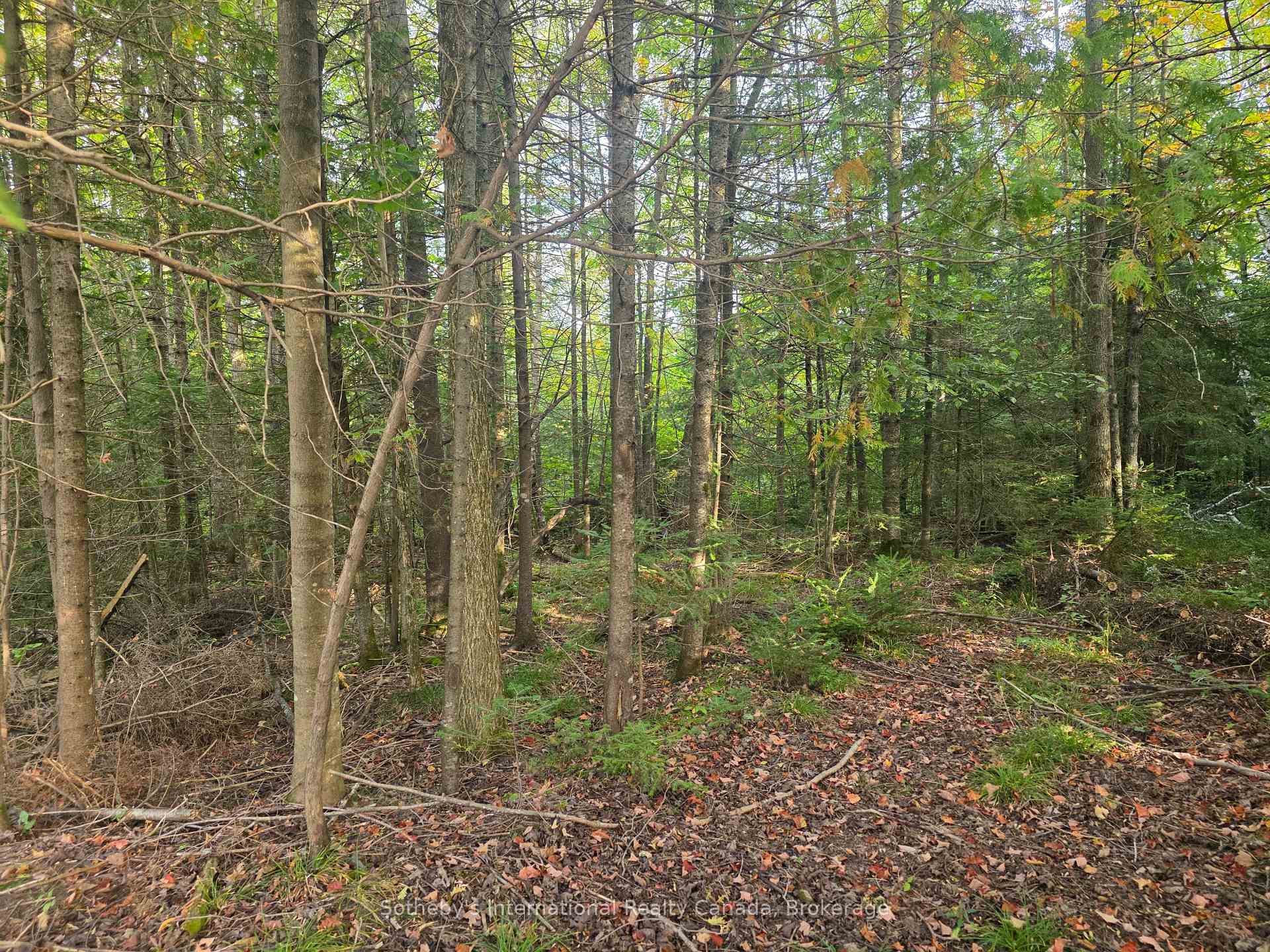 Photo 6 of 349749 4th Concession B, Grey Highlands — HOMEH