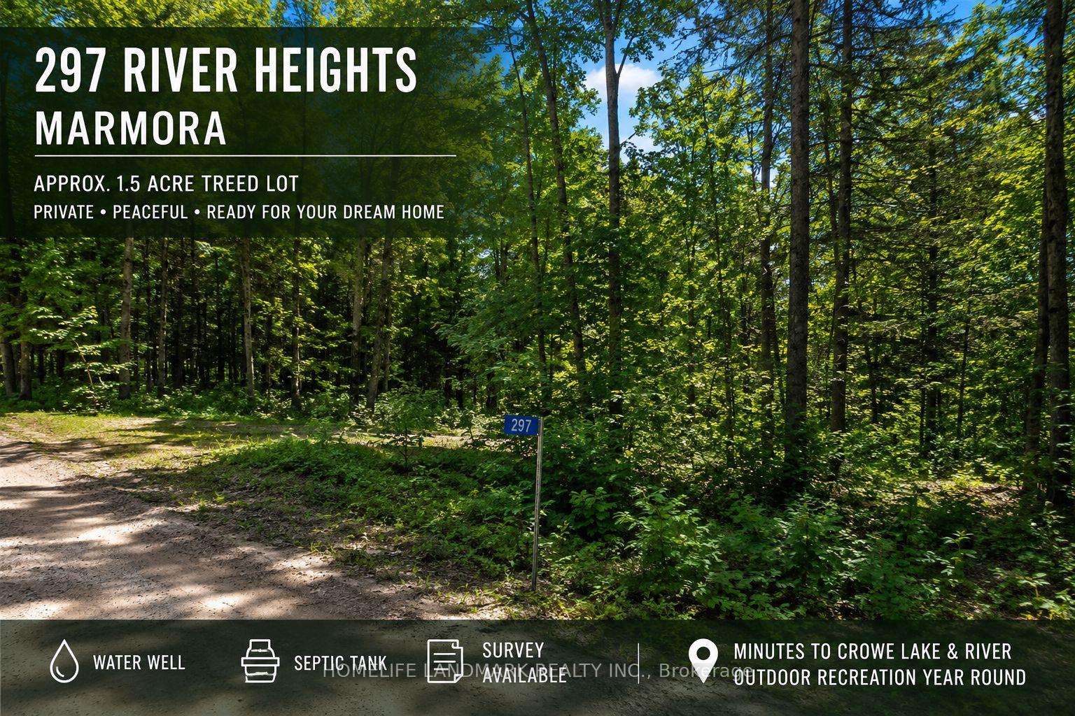Photo of 297 River Heights