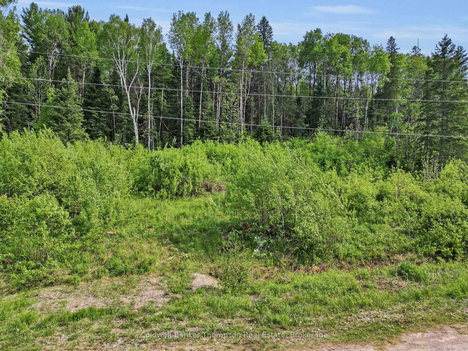 Photo 5 of 219 Doe Lake Road, Armour — HOMEH