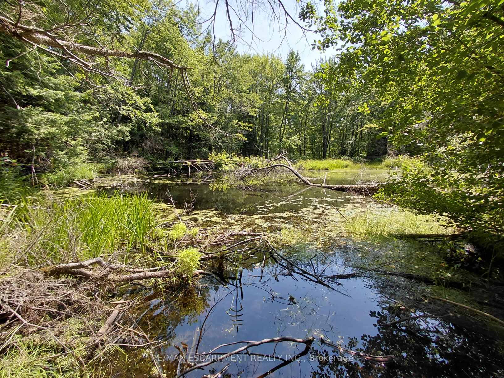 Photo 10 of 5822 Line 8 N, Oro-Medonte, Rural Oro-Medonte — HOMEH