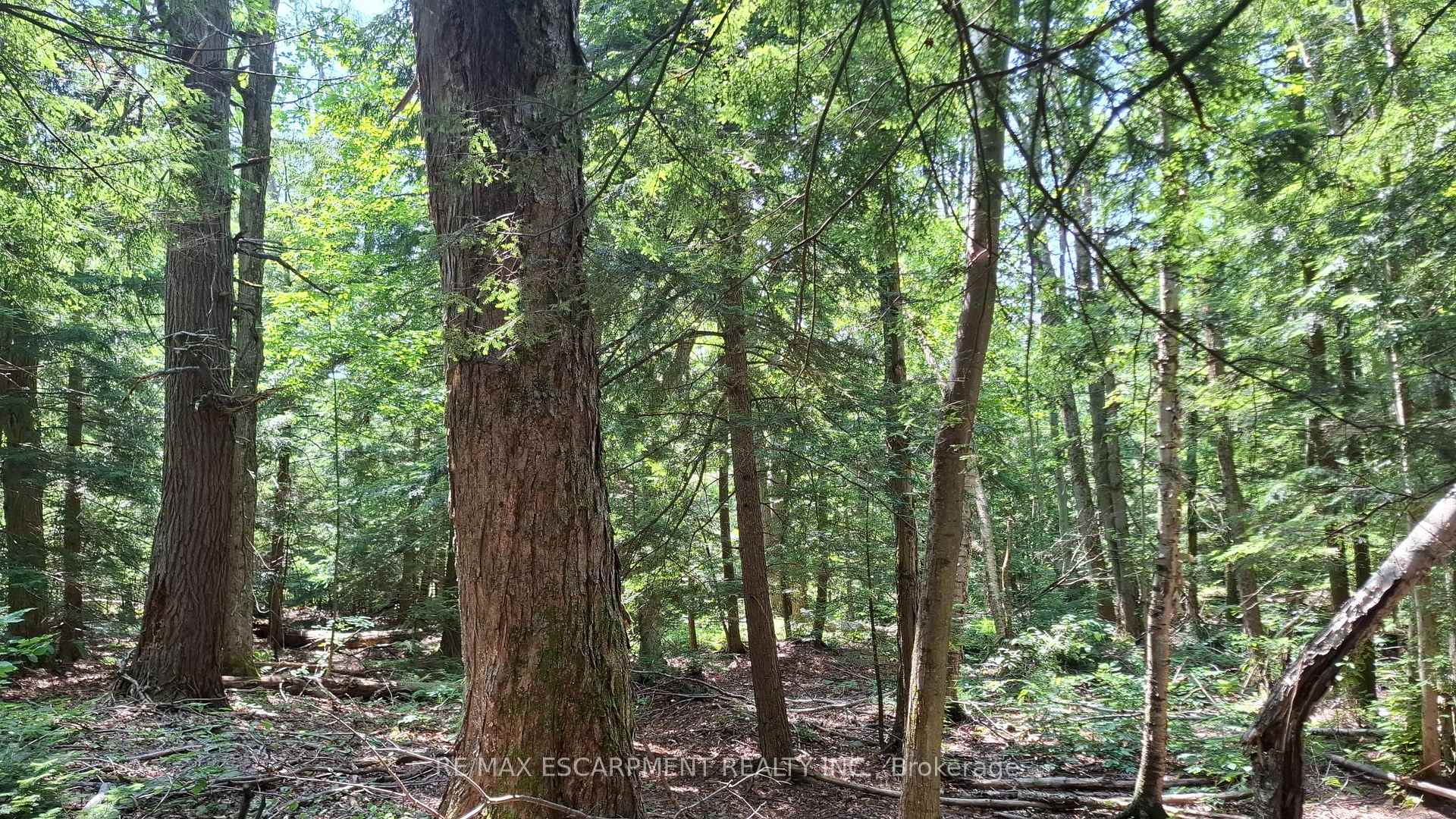 Photo 12 of 5822 Line 8 N, Oro-Medonte, Rural Oro-Medonte — HOMEH