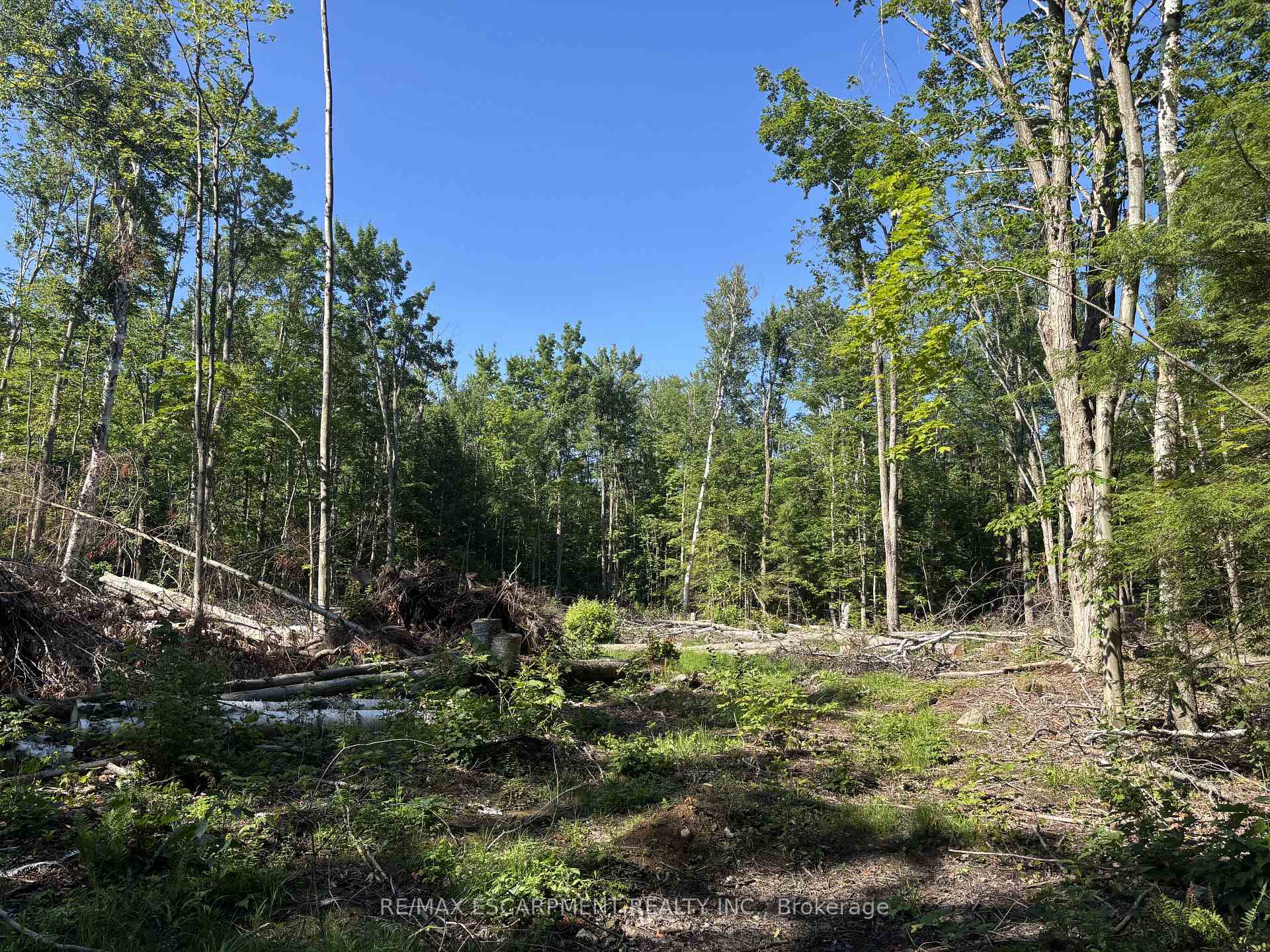 Photo 14 of 5822 Line 8 N, Oro-Medonte, Rural Oro-Medonte — HOMEH