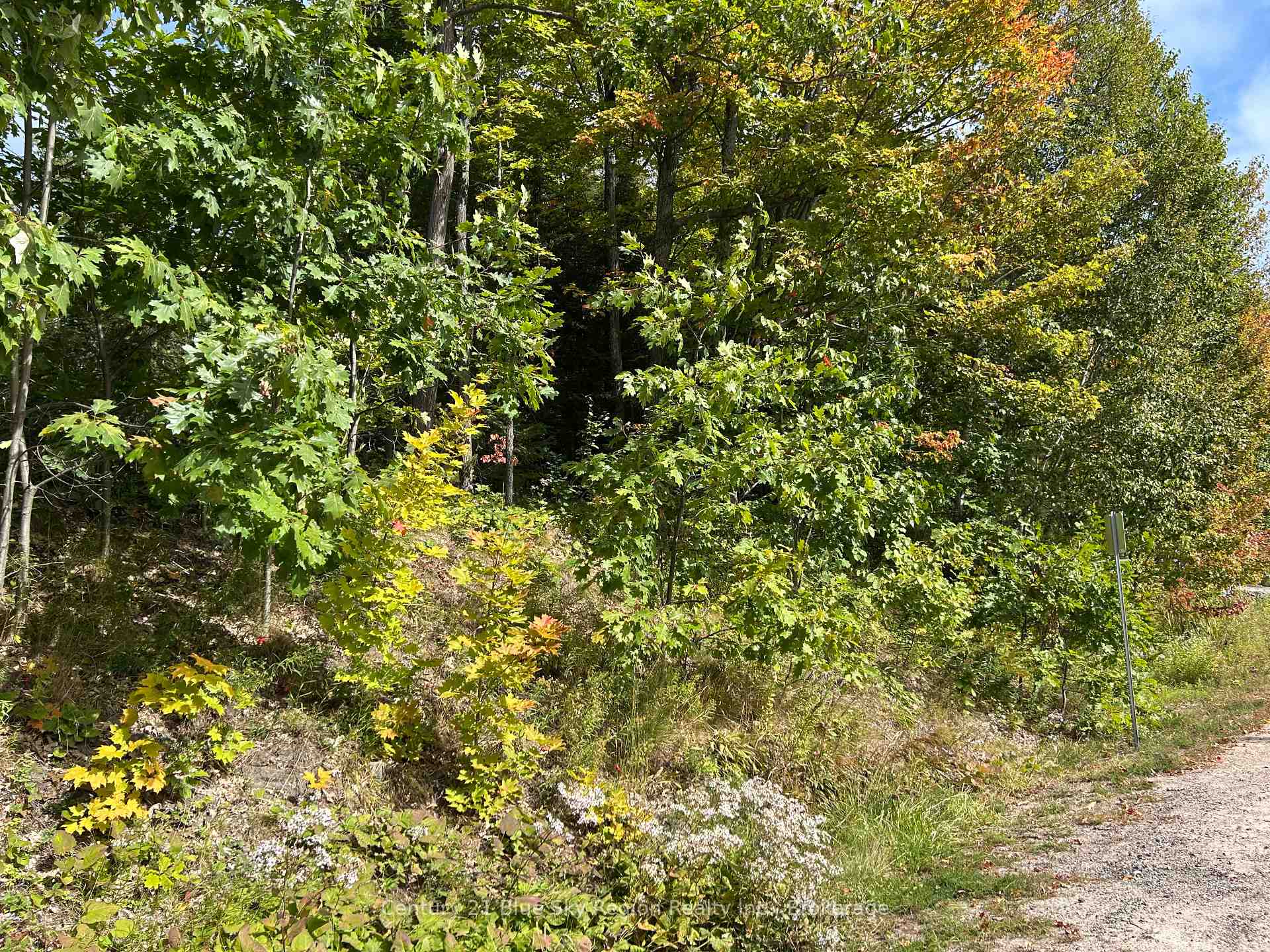 Photo of PCL 28216 Highway 531