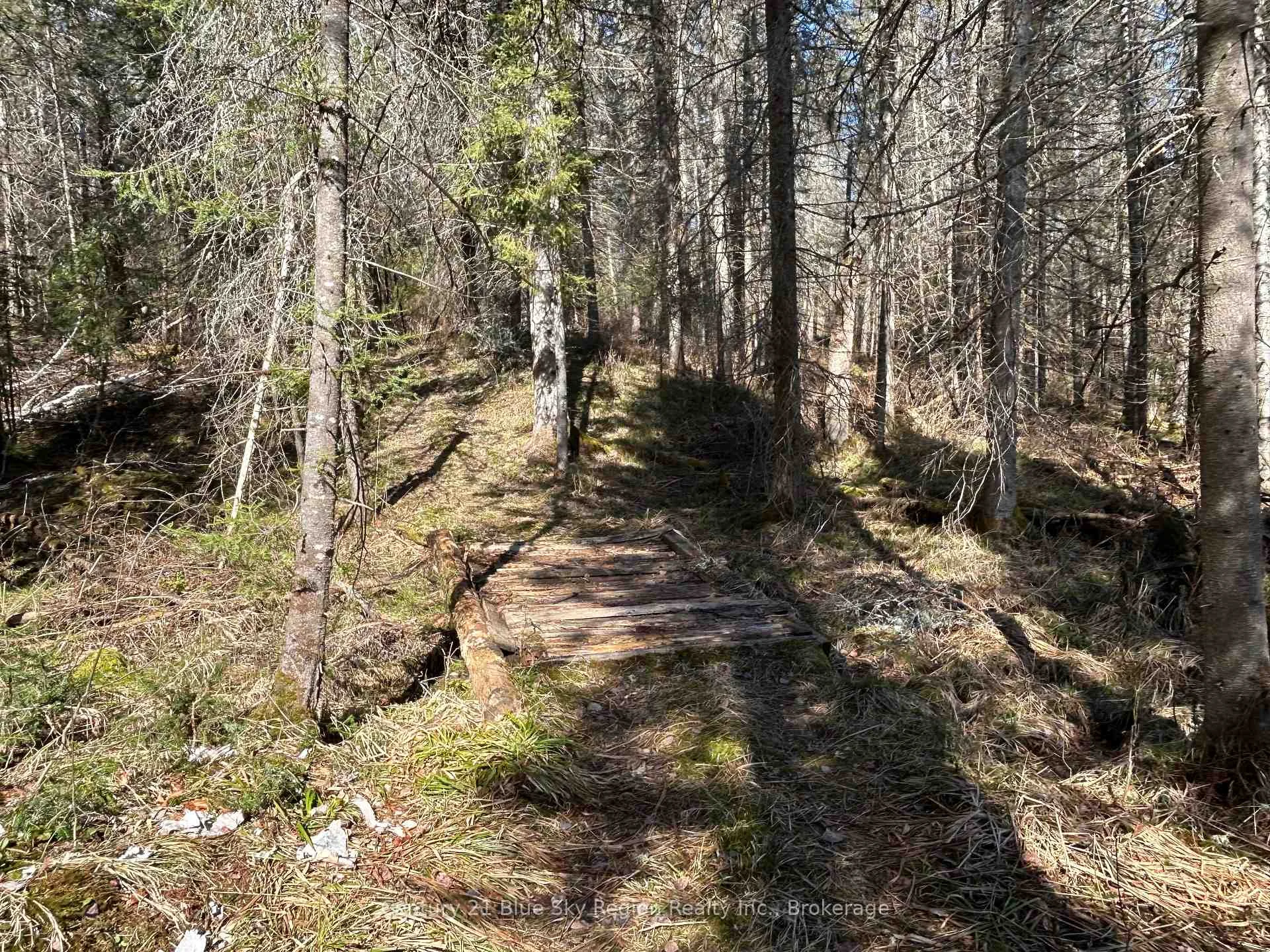 Photo 3 of PCL 28216 Highway 531, Bonfield — HOMEH