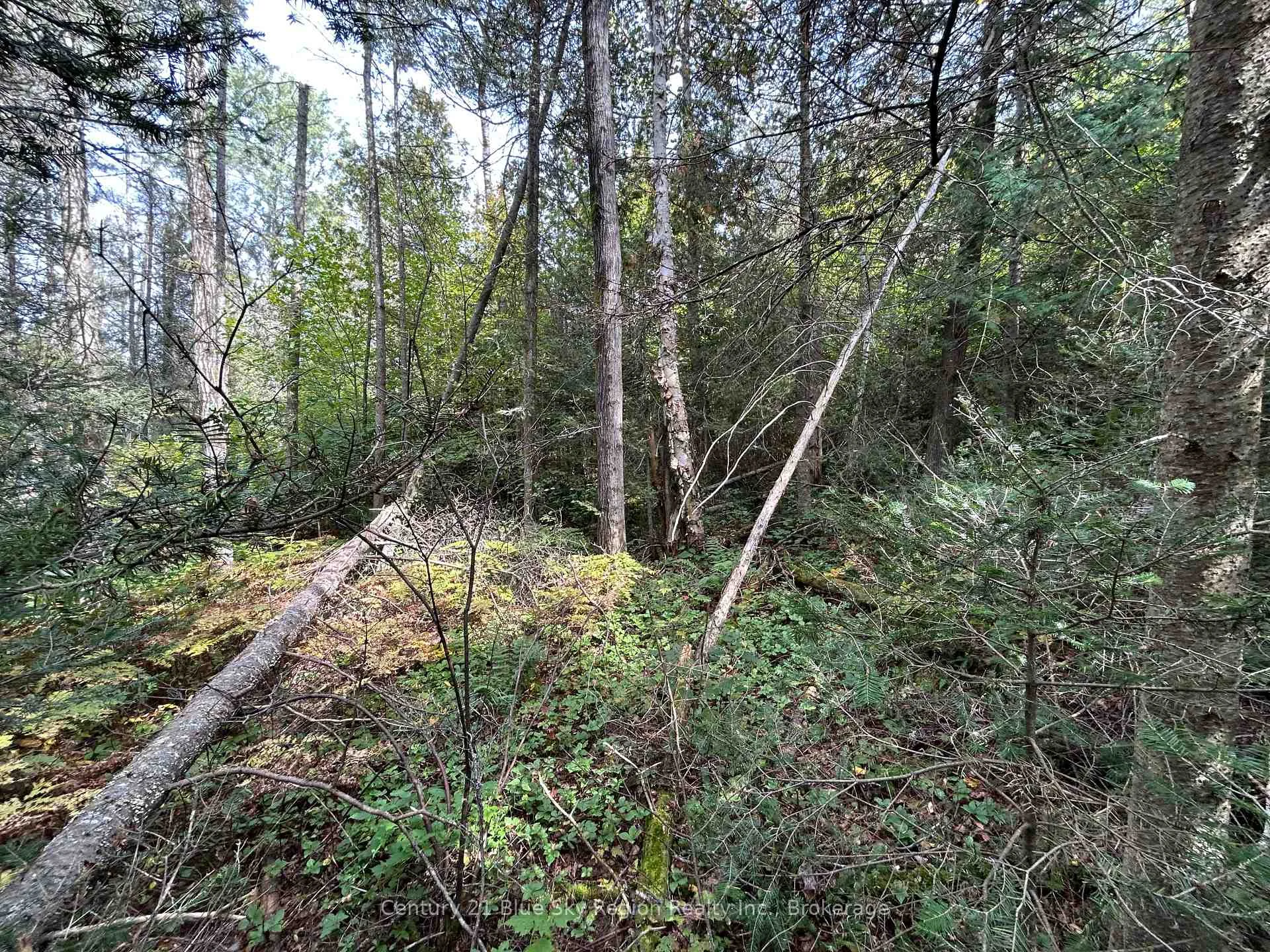 Photo 5 of PCL 28216 Highway 531, Bonfield — HOMEH