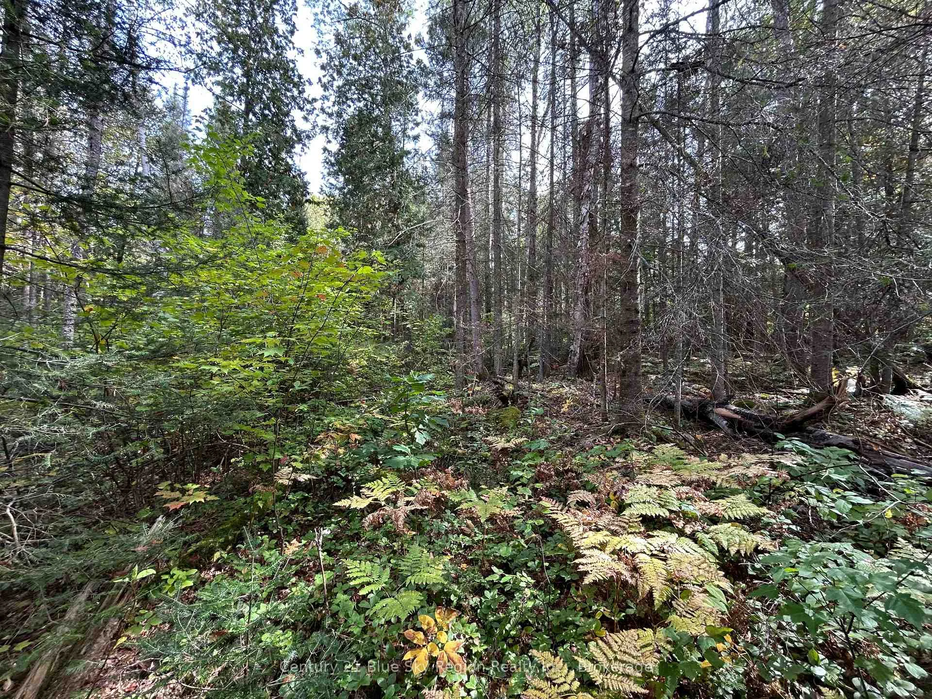 Photo 6 of PCL 28216 Highway 531, Bonfield — HOMEH