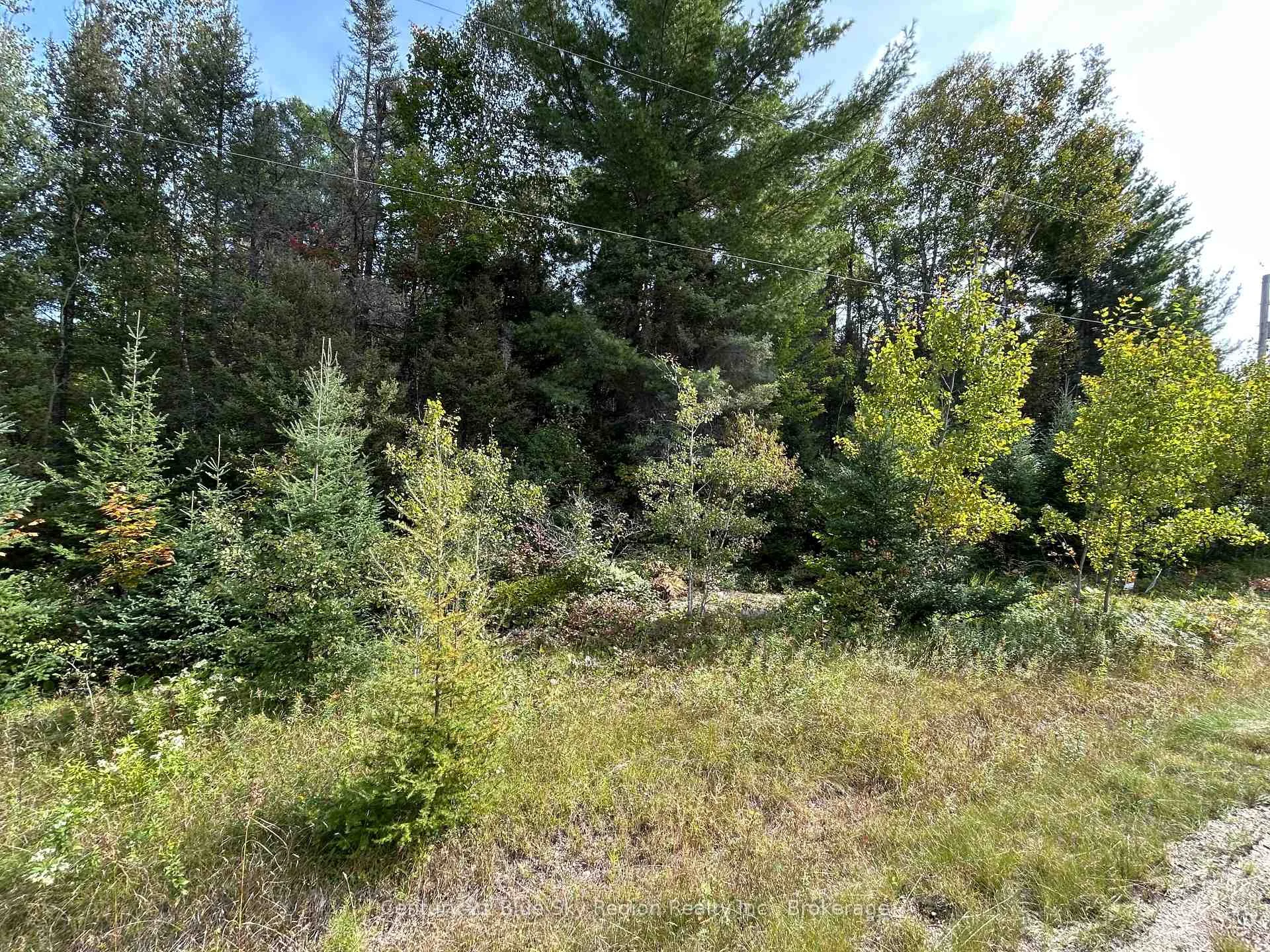 Photo 7 of PCL 28216 Highway 531, Bonfield — HOMEH