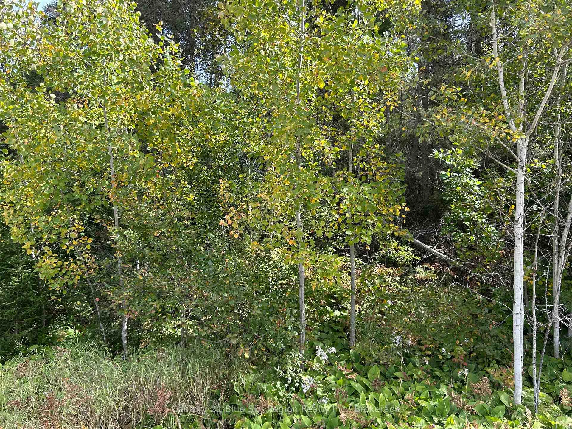 Photo 9 of PCL 28216 Highway 531, Bonfield — HOMEH