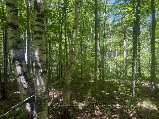 Photo 1 of 49 Cedar Sands Road, Rideau Lakes, Rideau Lakes (South Crosby) Twp — HOMEH