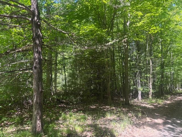 Photo 2 of 49 Cedar Sands Road, Rideau Lakes, Rideau Lakes (South Crosby) Twp — HOMEH