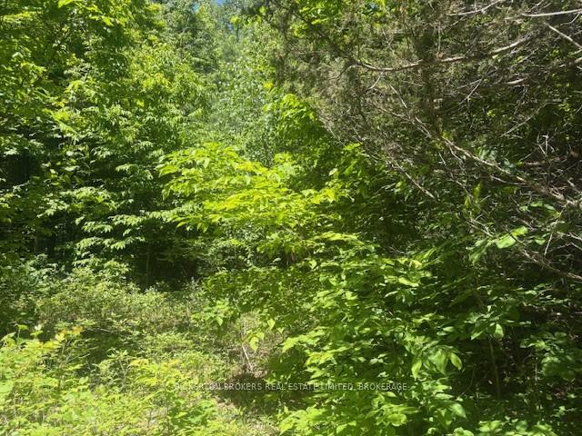 Photo 3 of 49 Cedar Sands Road, Rideau Lakes, Rideau Lakes (South Crosby) Twp — HOMEH
