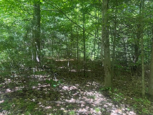 Photo 4 of 49 Cedar Sands Road, Rideau Lakes, Rideau Lakes (South Crosby) Twp — HOMEH