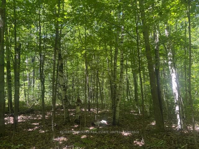 Photo 5 of 49 Cedar Sands Road, Rideau Lakes, Rideau Lakes (South Crosby) Twp — HOMEH